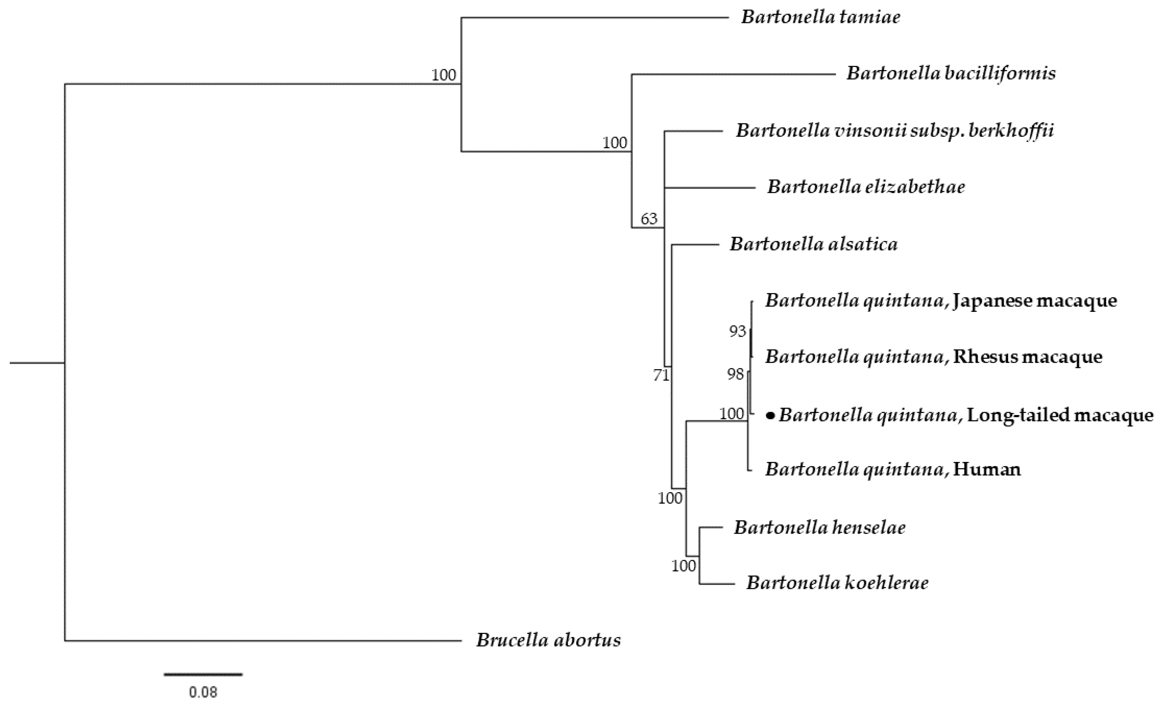 Pathogens 10 00629 g002 Pathogens 10 00629 g002