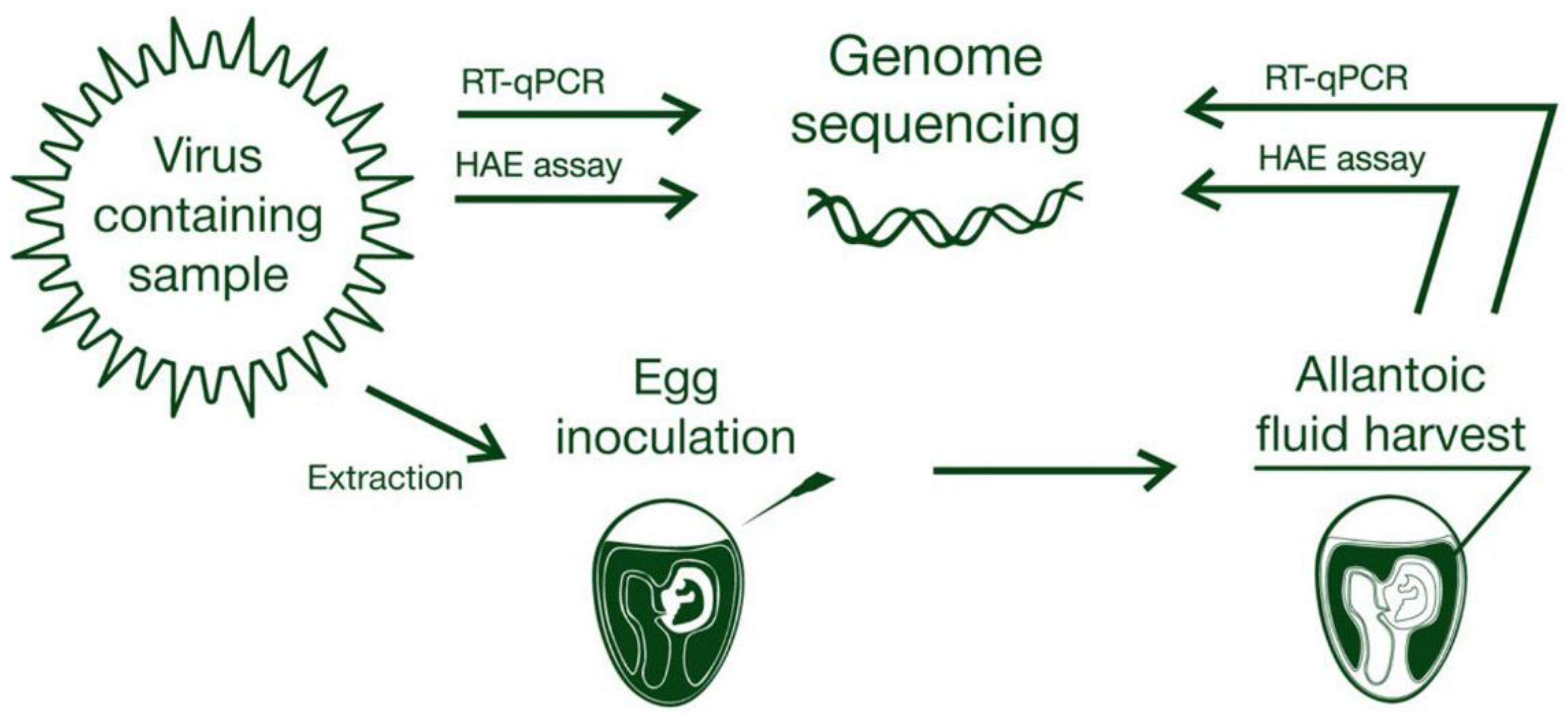 Pathogens Free Full Text Avian Influenza In Wild Birds And Poultry Dissemination Pathways Monitoring Methods And Virus Ecology Html