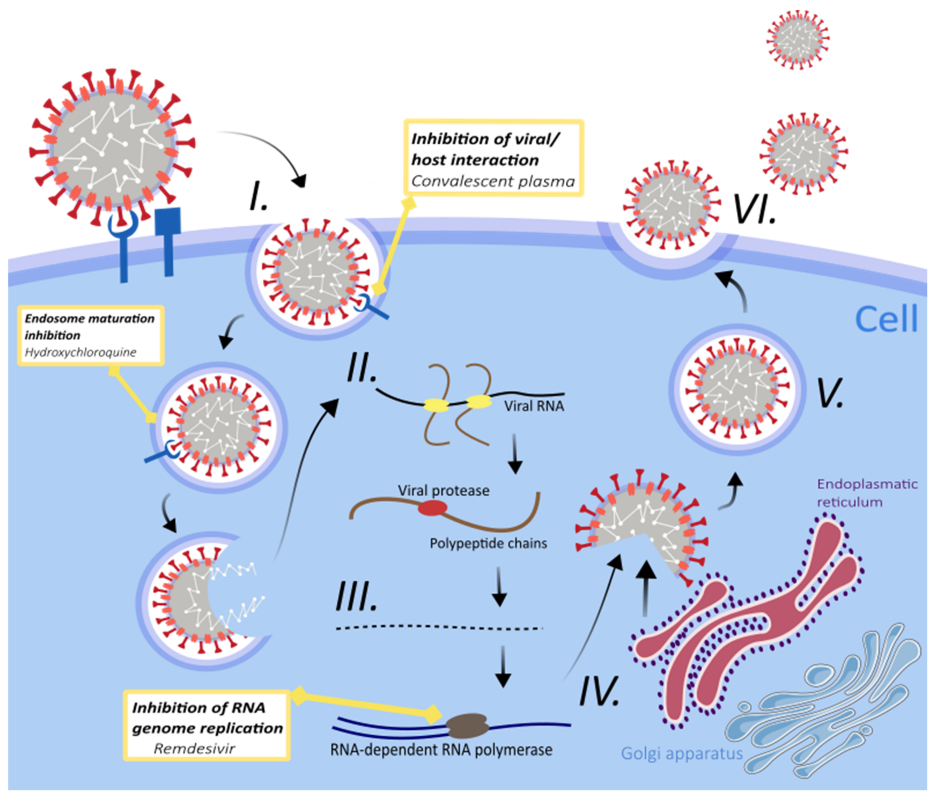 Pathogens 10 00636 g002 Pathogens 10 00636 g002