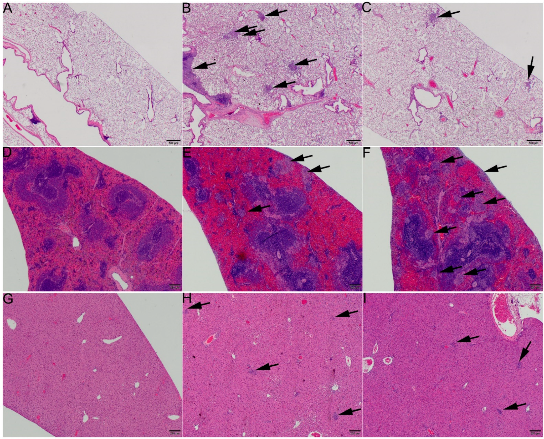 Pathogens 10 00638 g003
