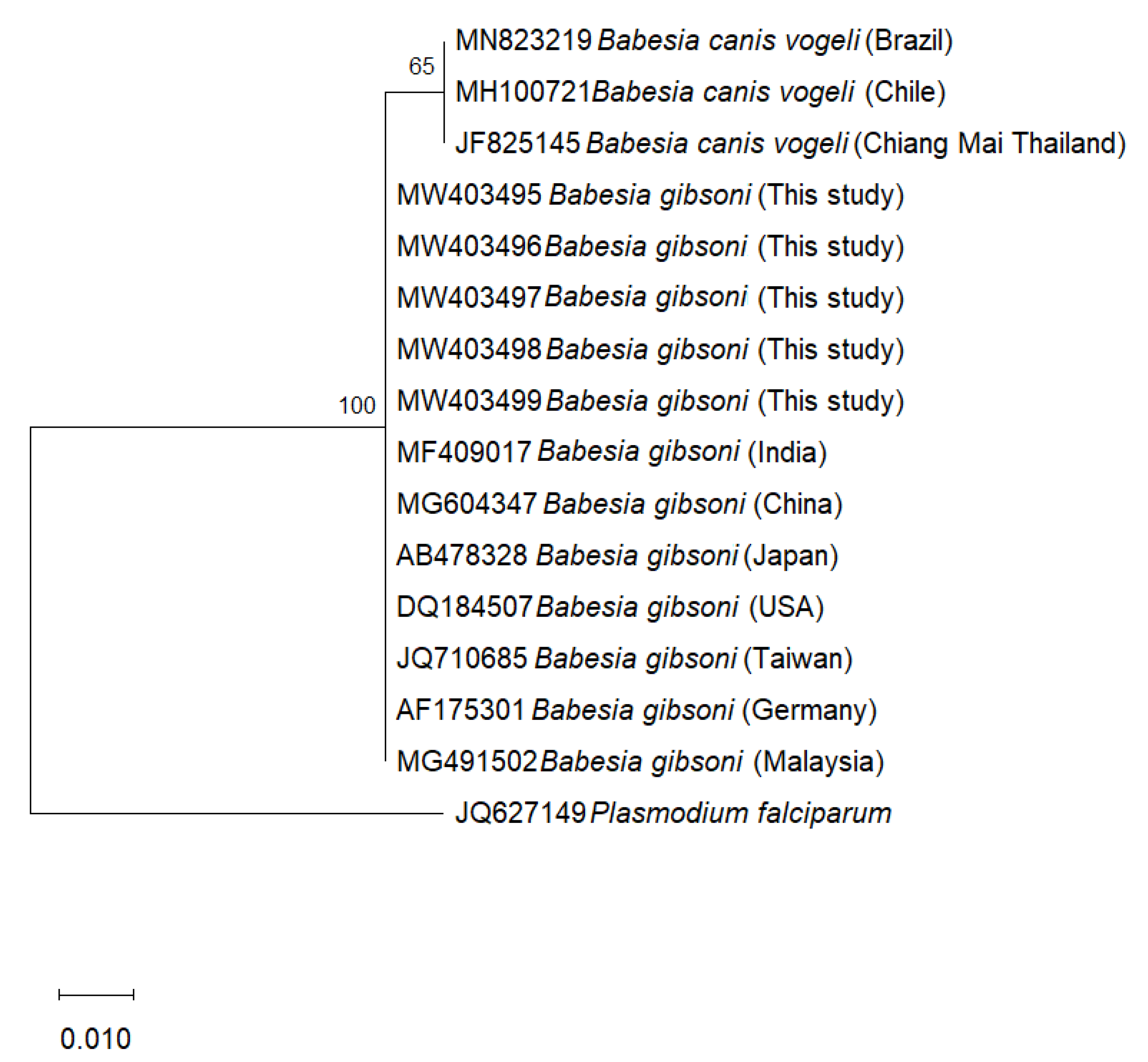 Pathogens 10 00639 g002 Pathogens 10 00639 g002