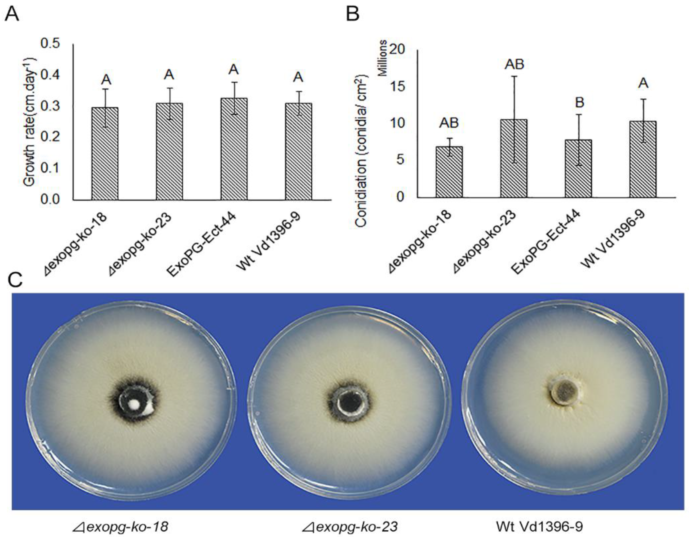 Pathogens 10 00642 g005 Pathogens 10 00642 g005