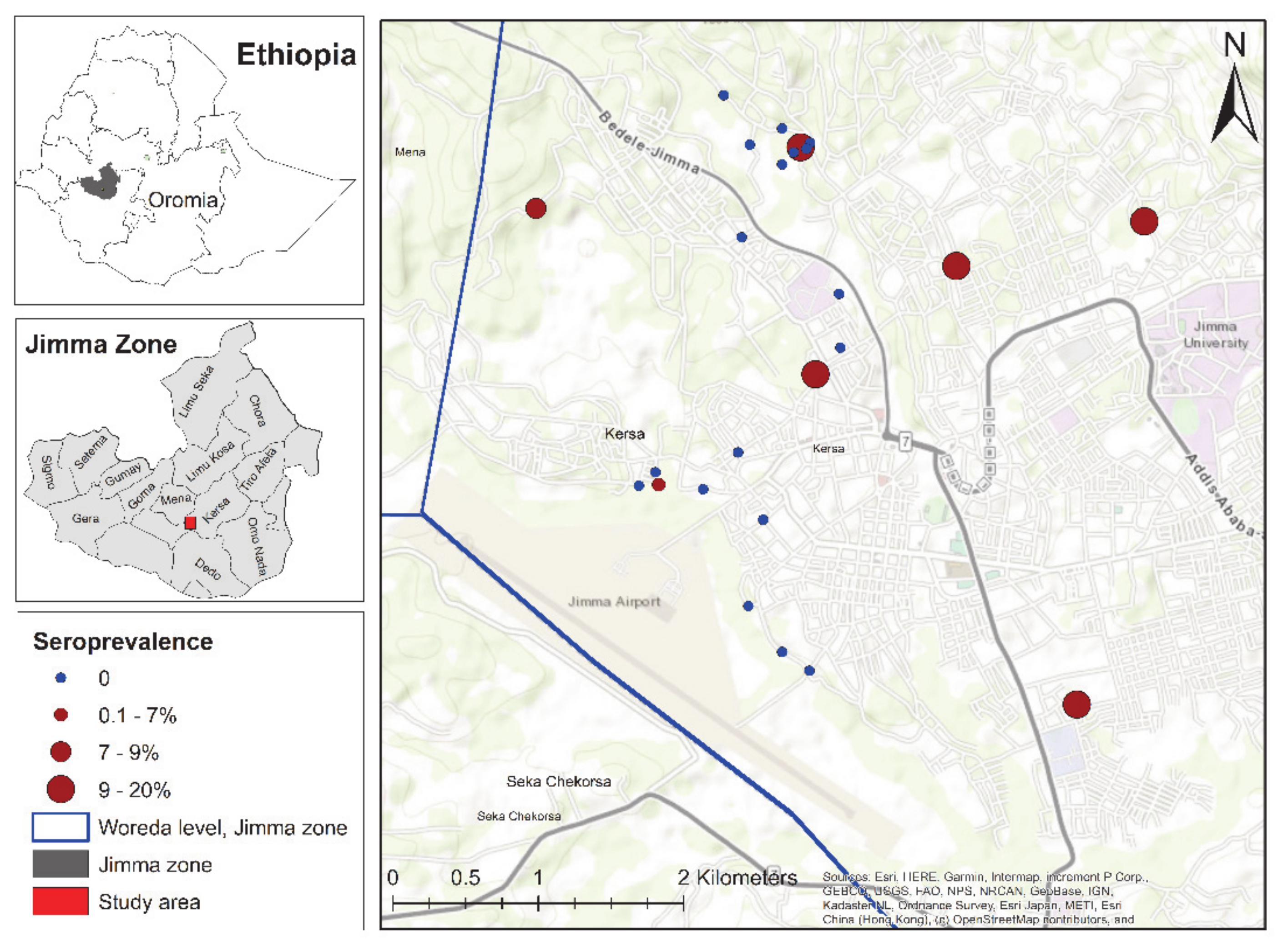 Pathogens 10 00646 g001