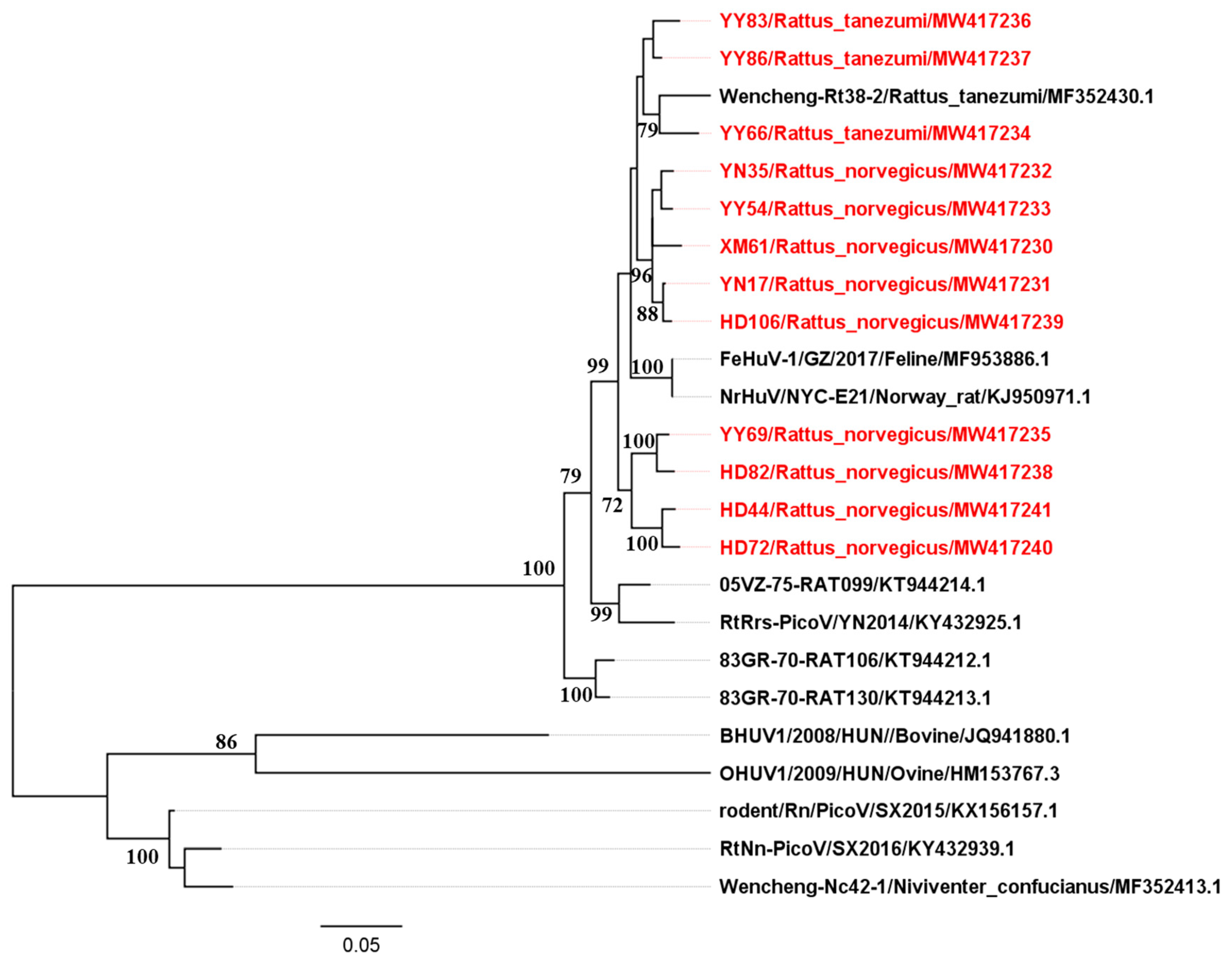 Pathogens 10 00661 g001 Pathogens 10 00661 g001
