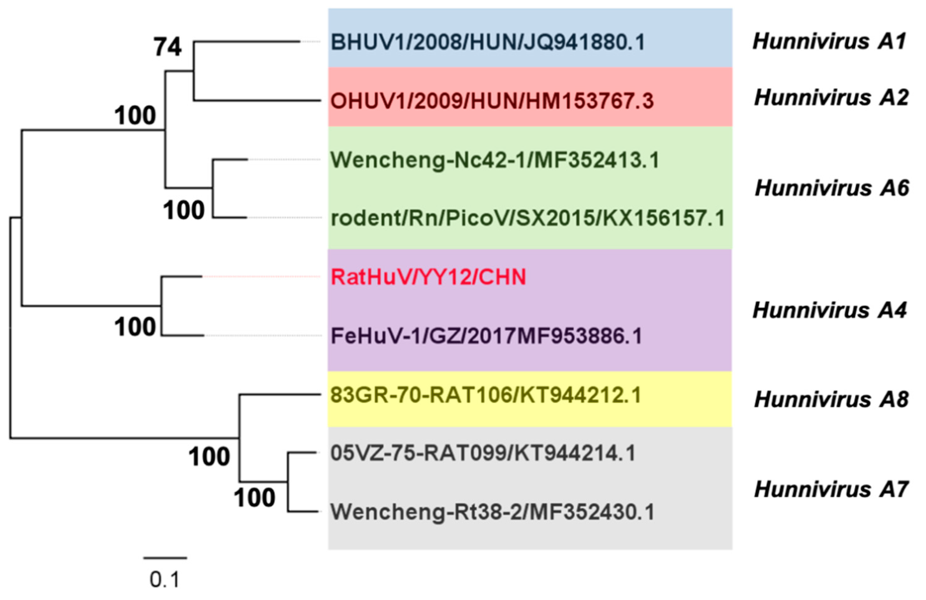 Pathogens 10 00661 g004 Pathogens 10 00661 g004