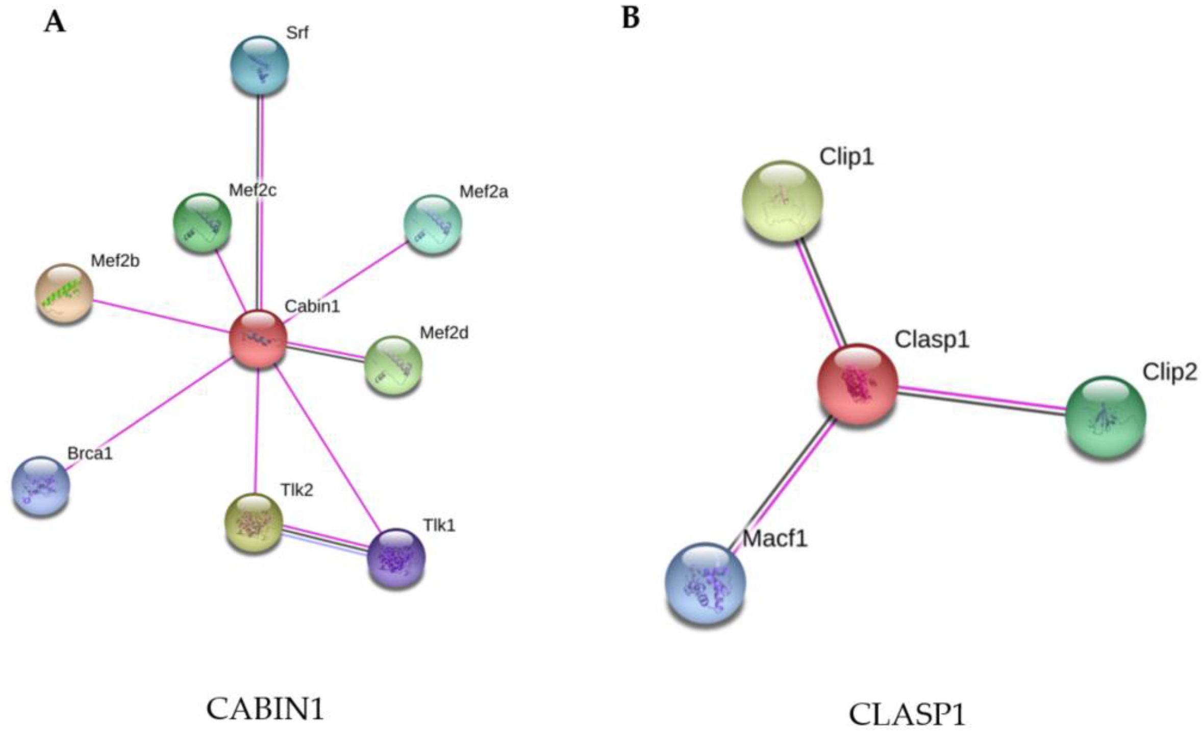 Pathogens 10 00662 g004