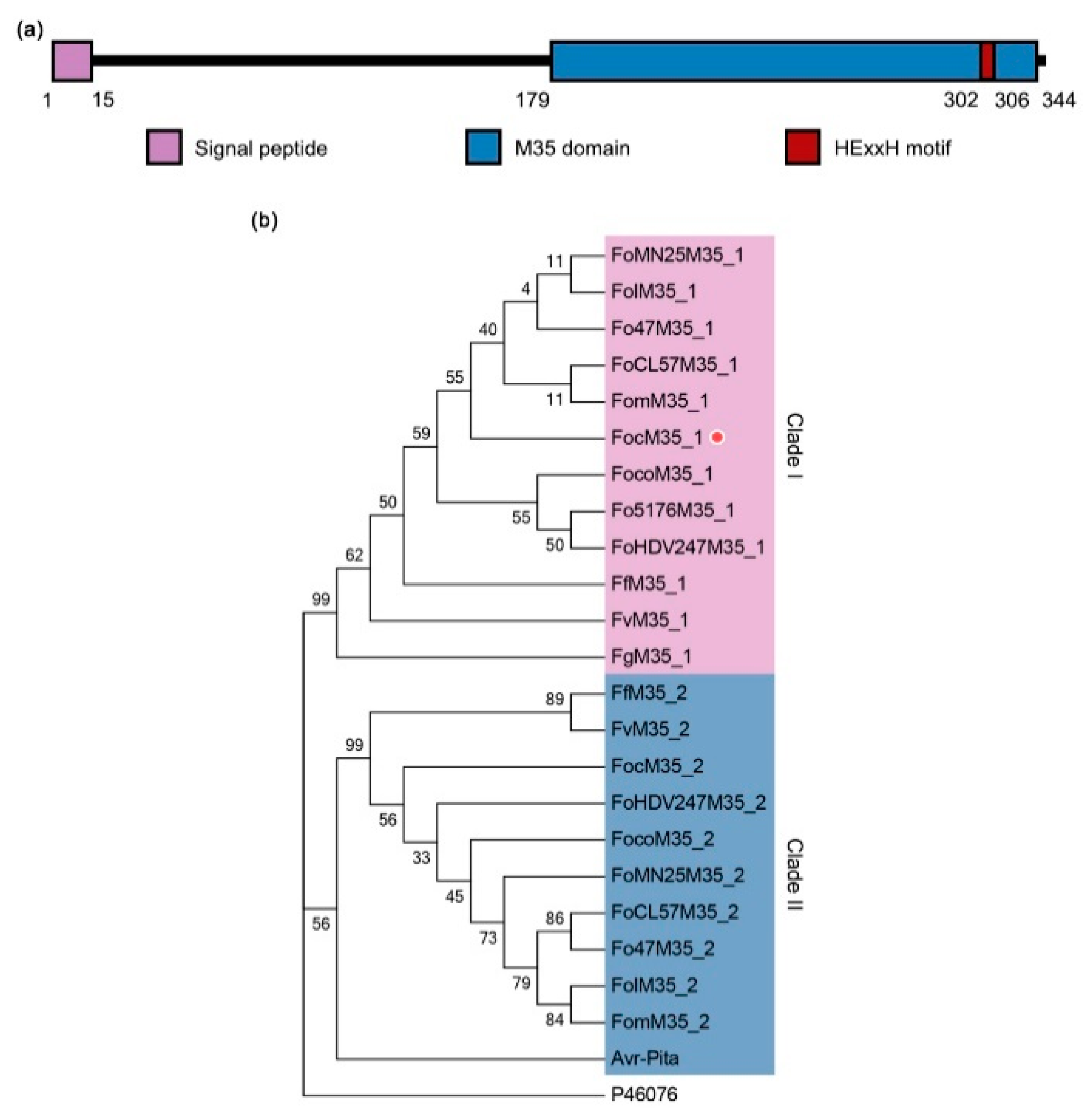 Pathogens 10 00670 g001 Pathogens 10 00670 g001