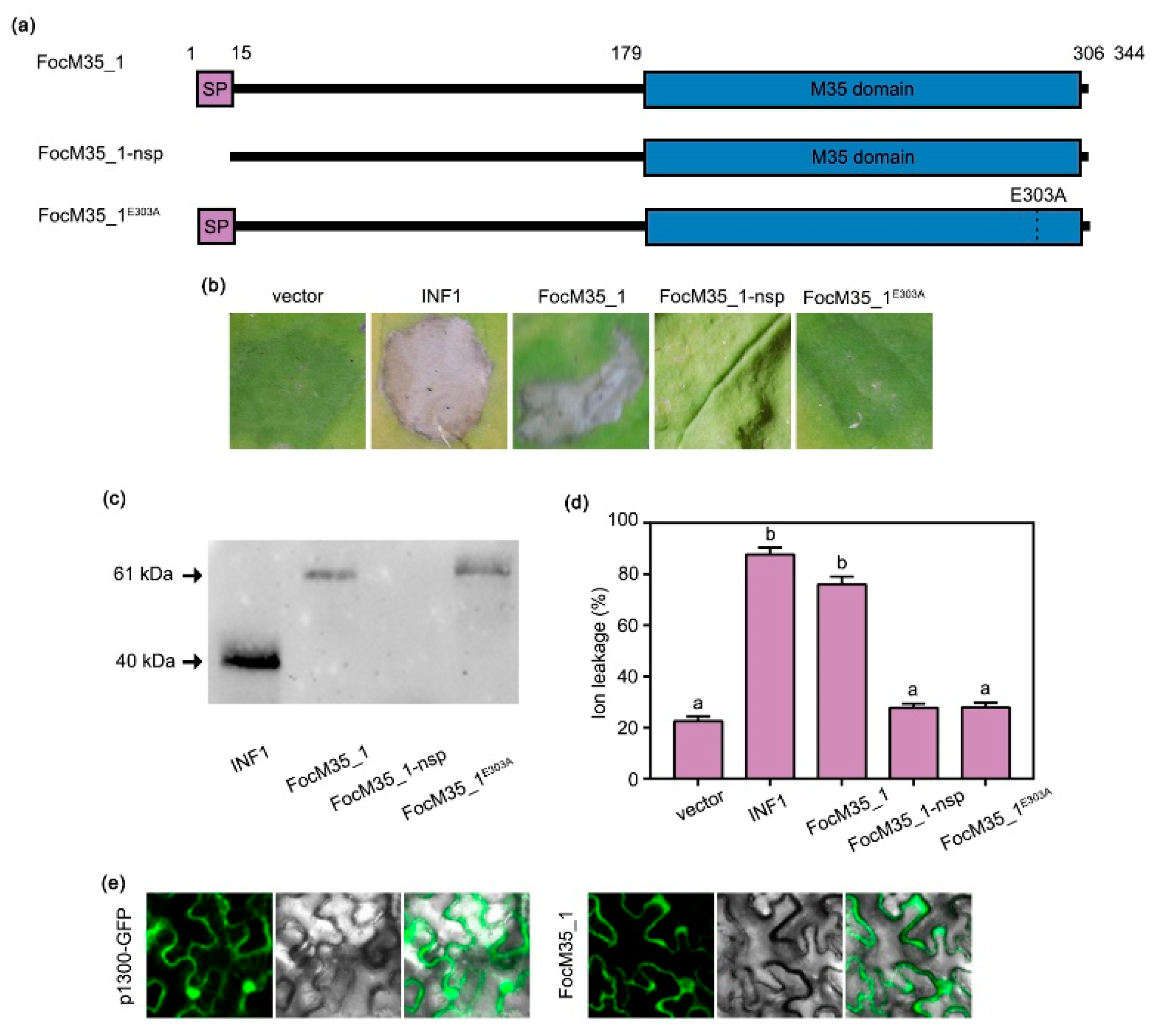 Pathogens 10 00670 g005 Pathogens 10 00670 g005