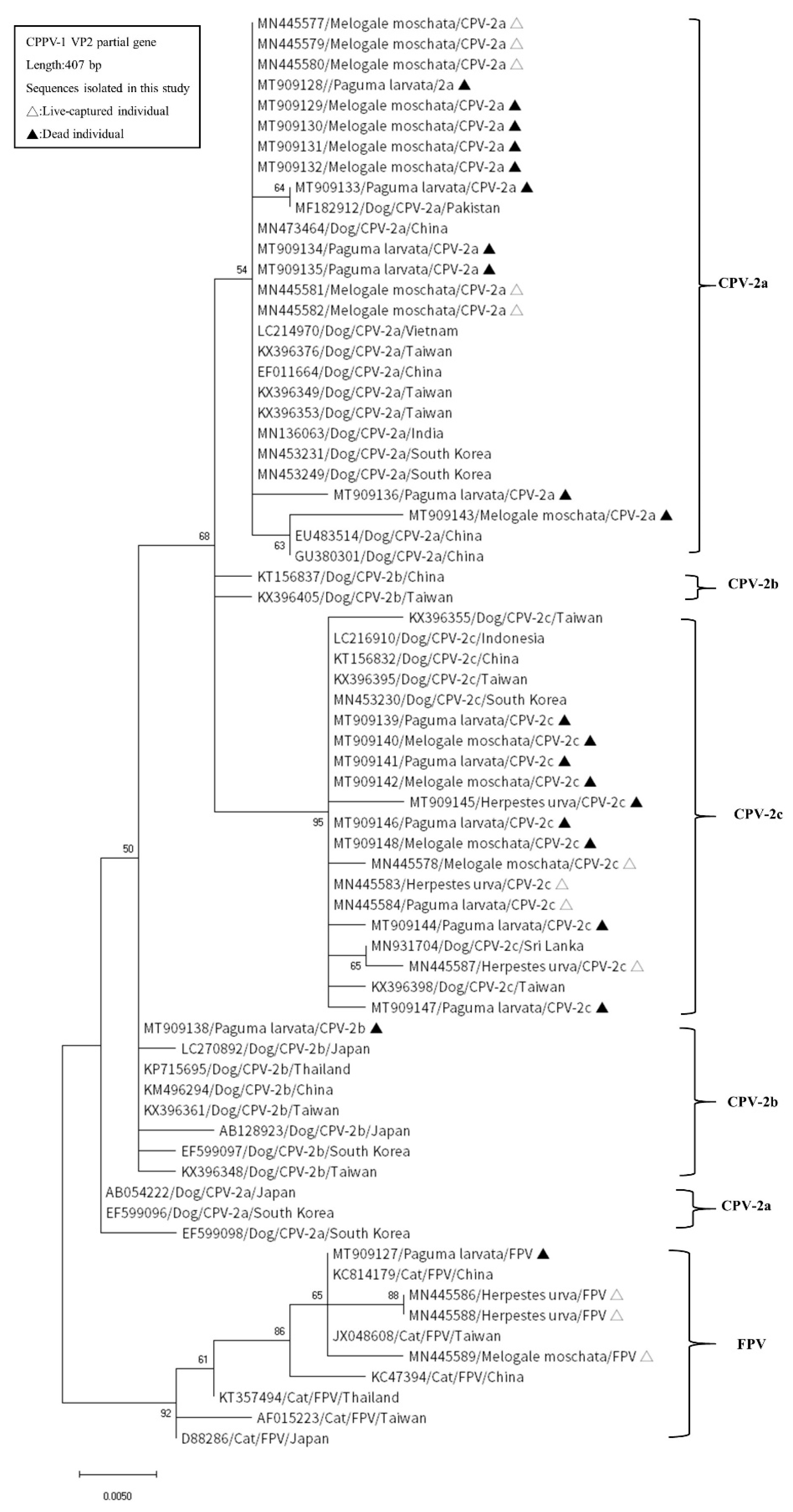 Pathogens 10 00671 g002 Pathogens 10 00671 g002