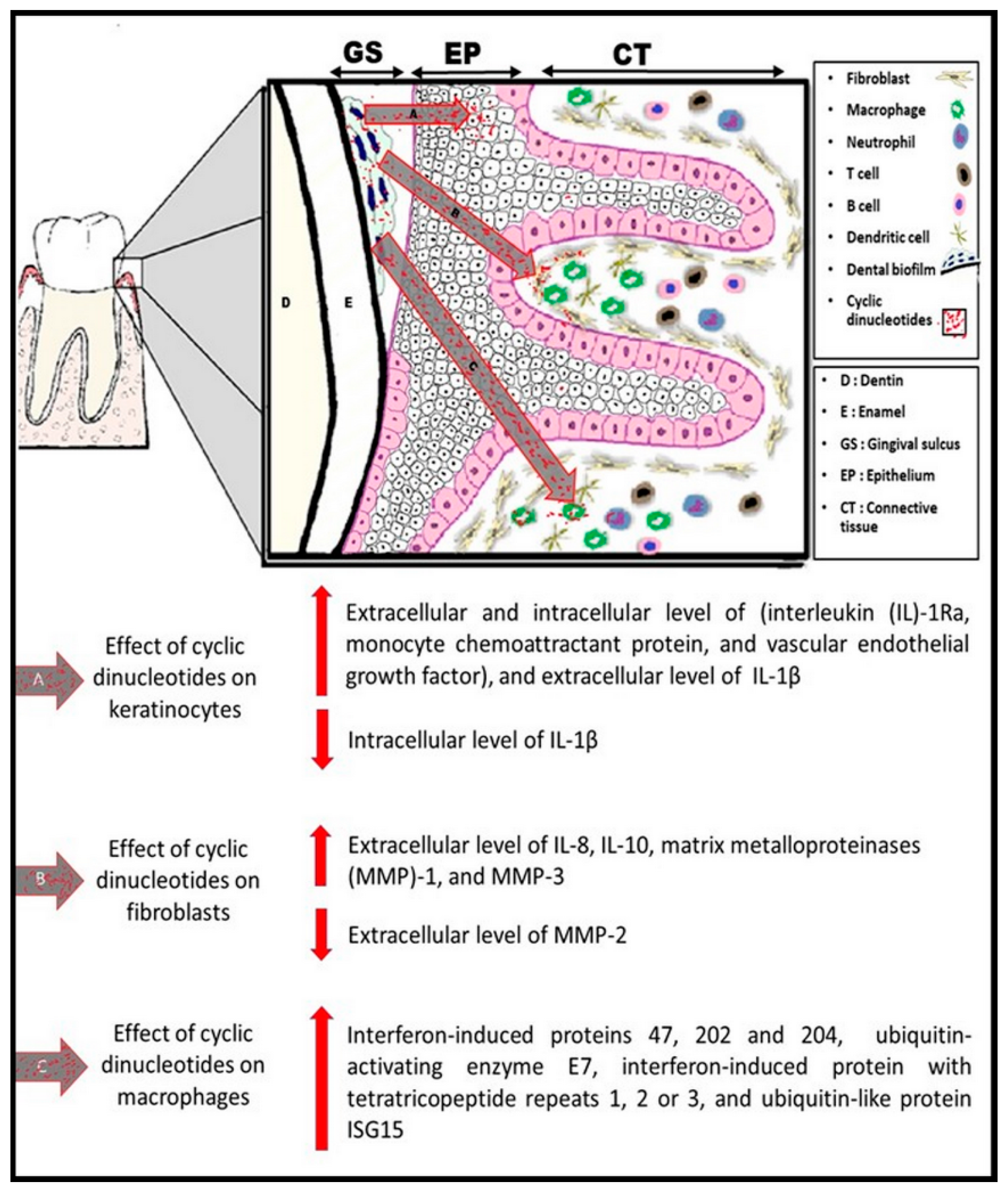 Pathogens 10 00675 g003 Pathogens 10 00675 g003