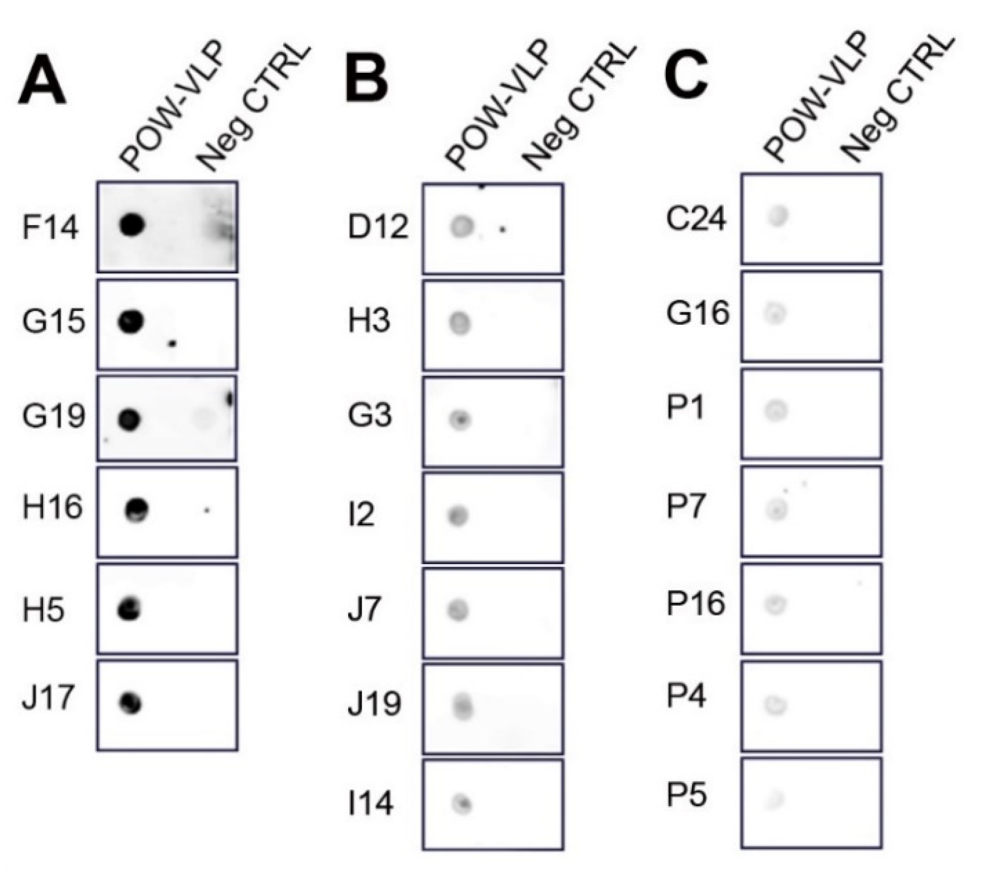 Pathogens 10 00680 g007