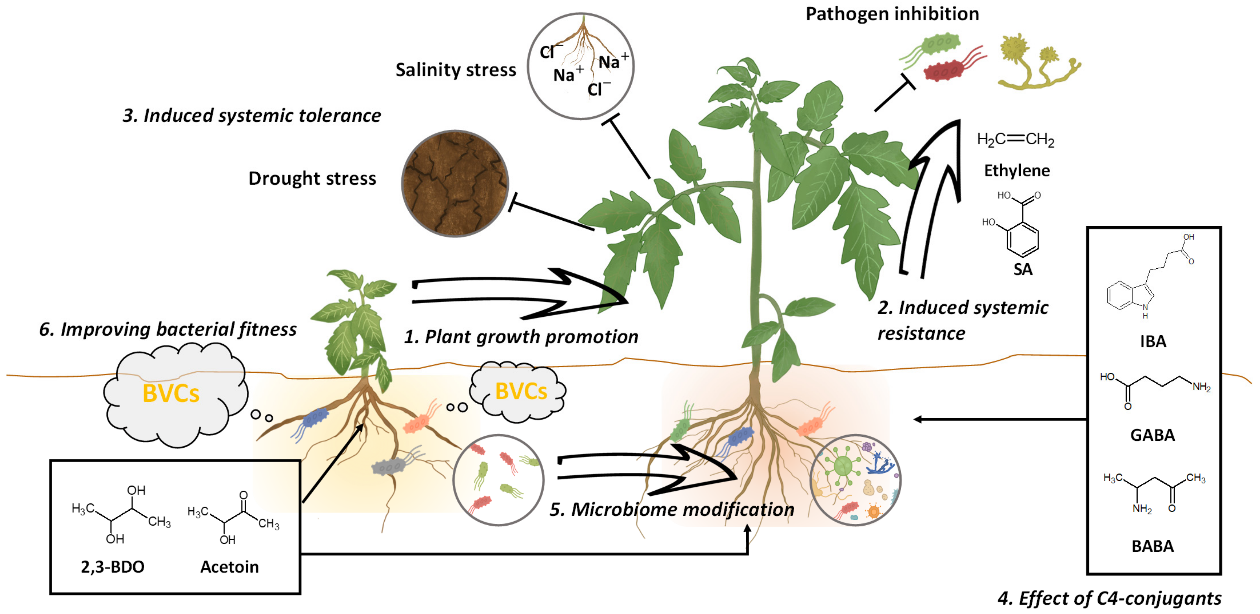Pathogens 10 00682 g001