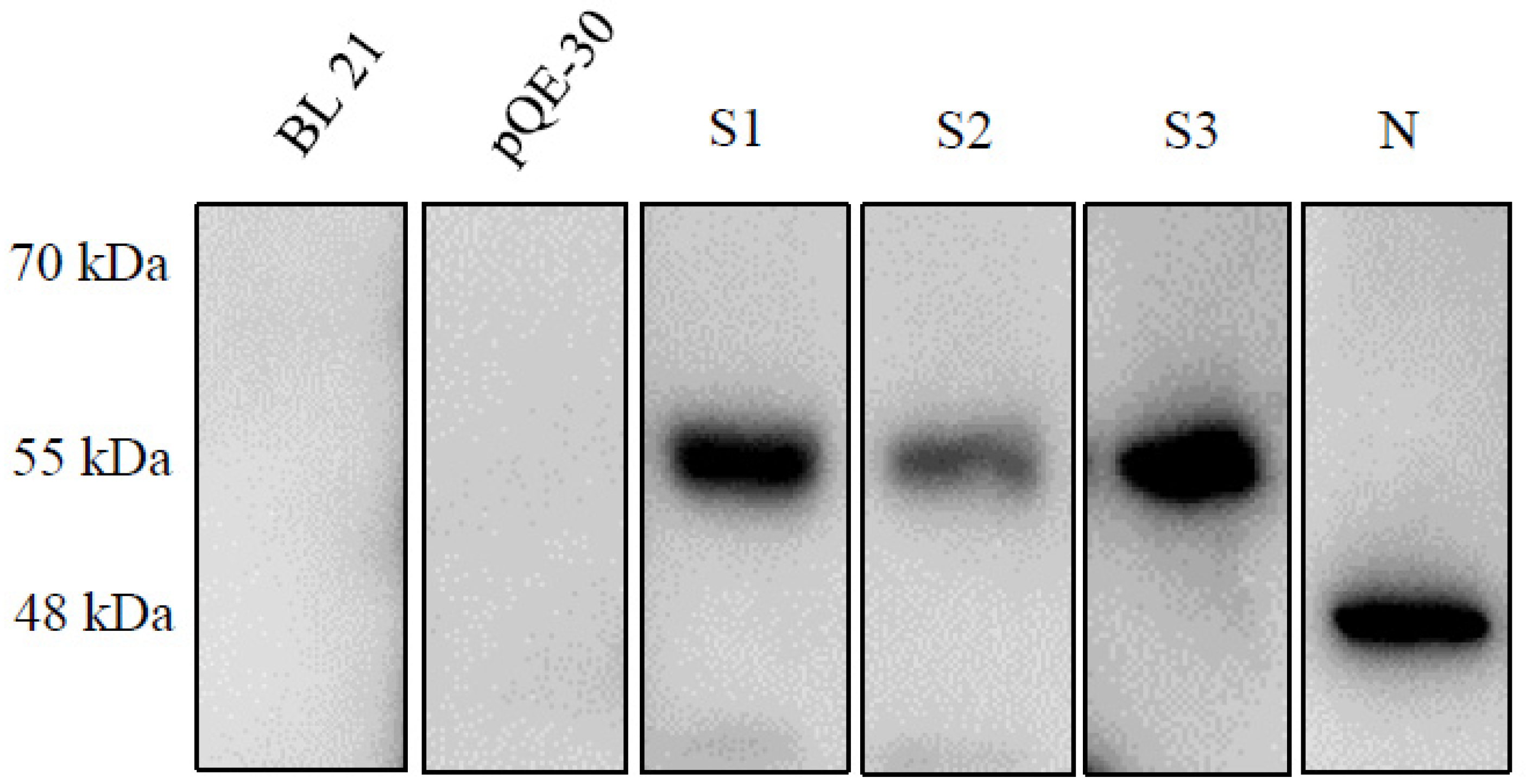 Pathogens 10 00683 g002 Pathogens 10 00683 g002