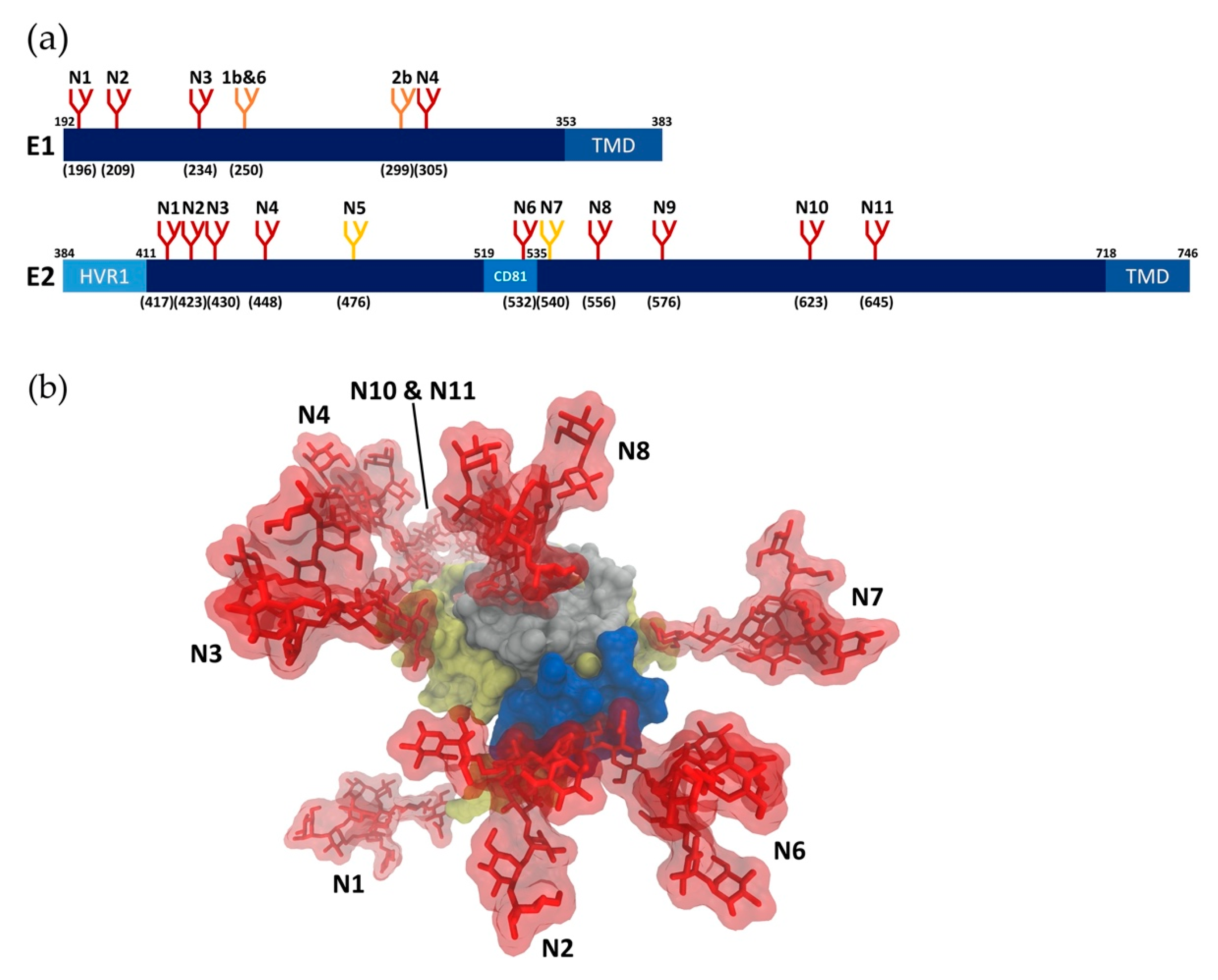 Pathogens 10 00685 g001
