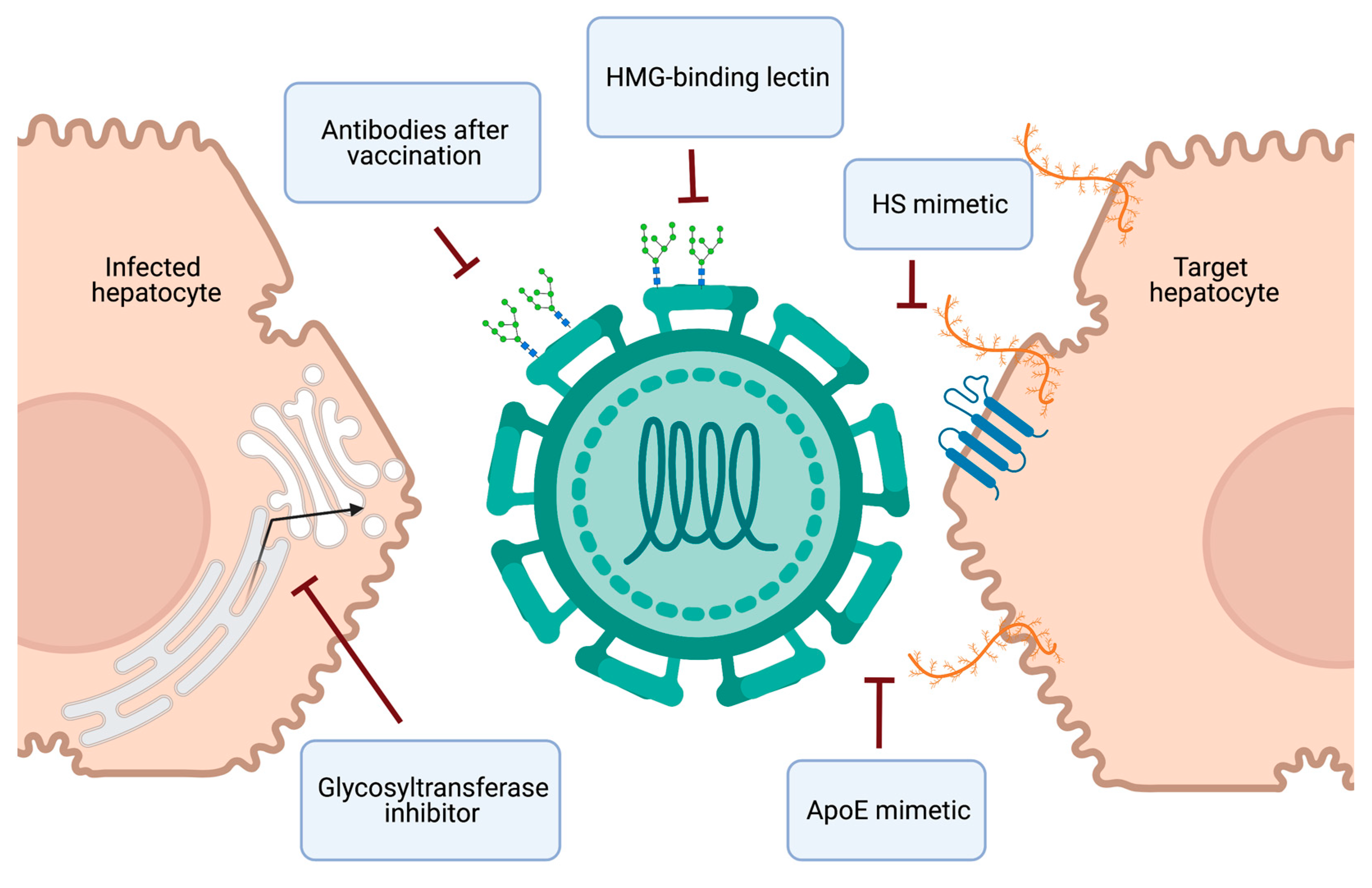 Pathogens 10 00685 g004