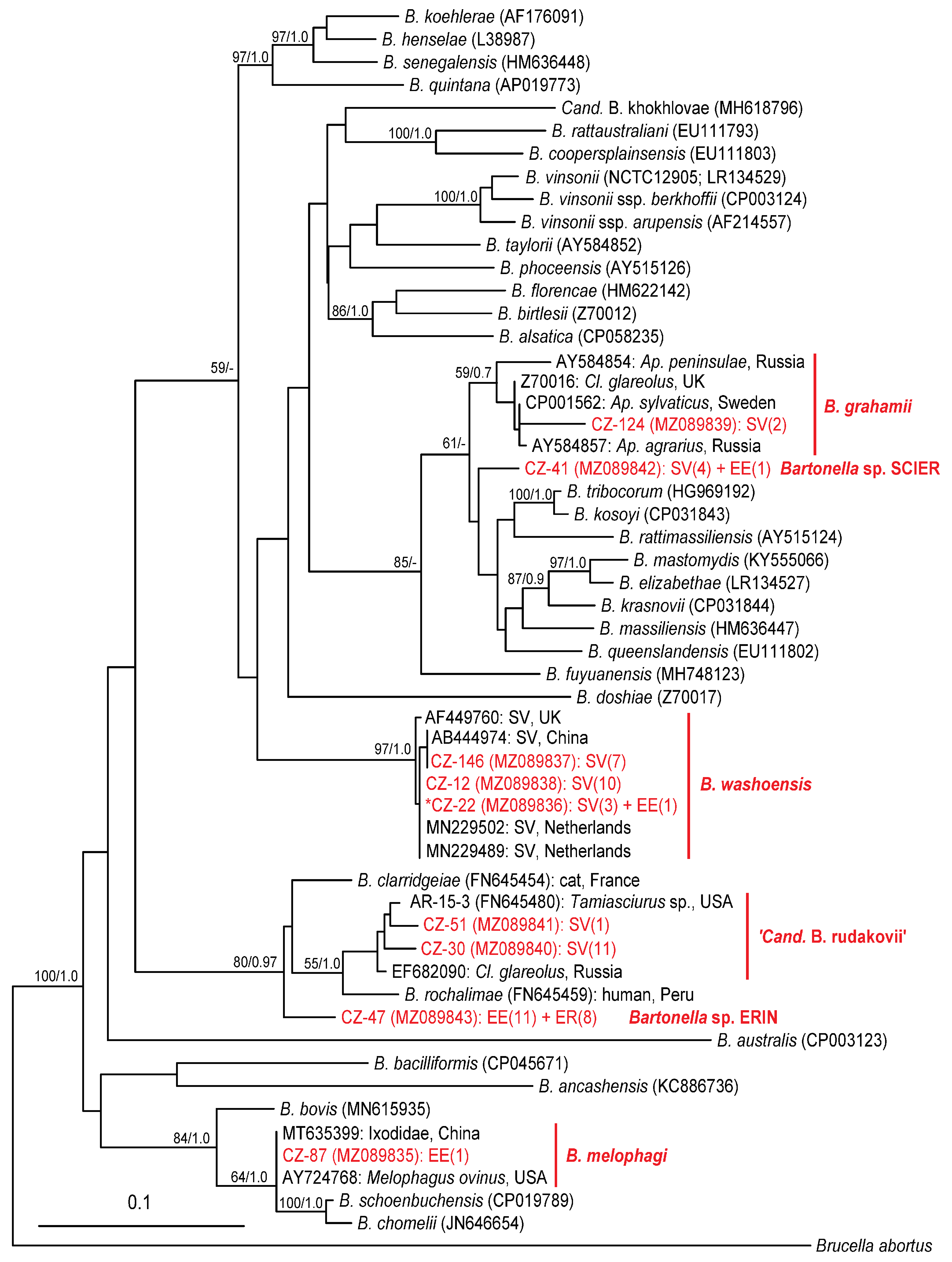 Pathogens 10 00686 g005