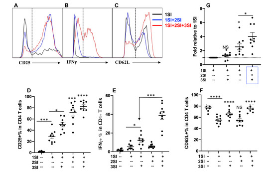The Identification of a Unique Gene MoUNG Required for