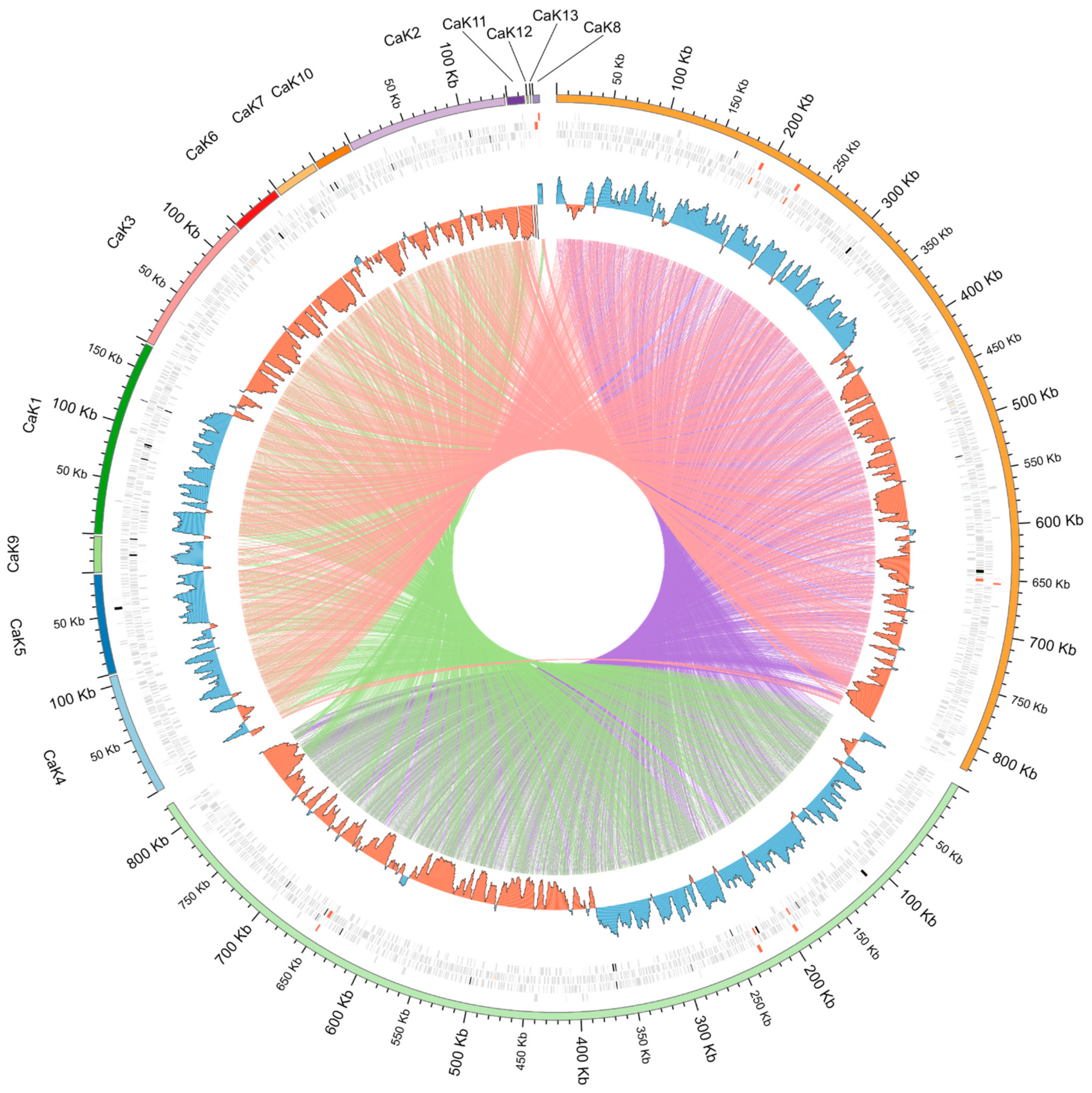 Pathogens 10 00702 g001