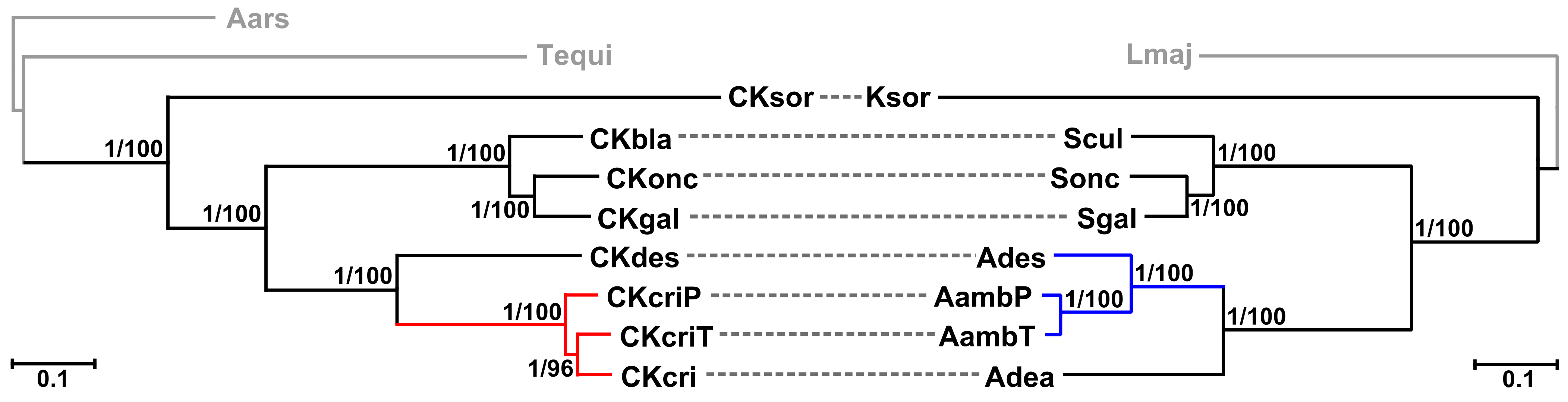 Pathogens 10 00702 g003