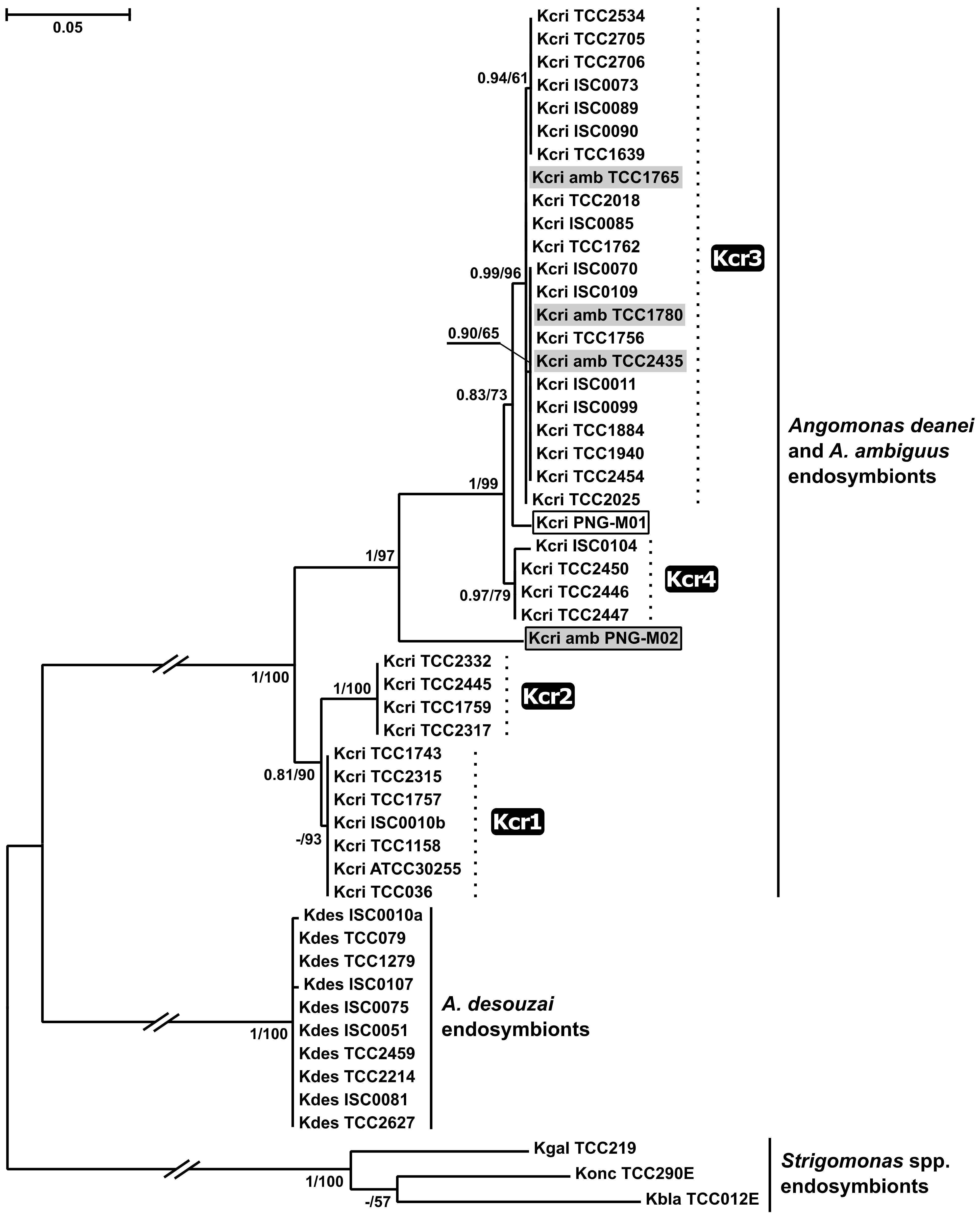 Pathogens 10 00702 g004