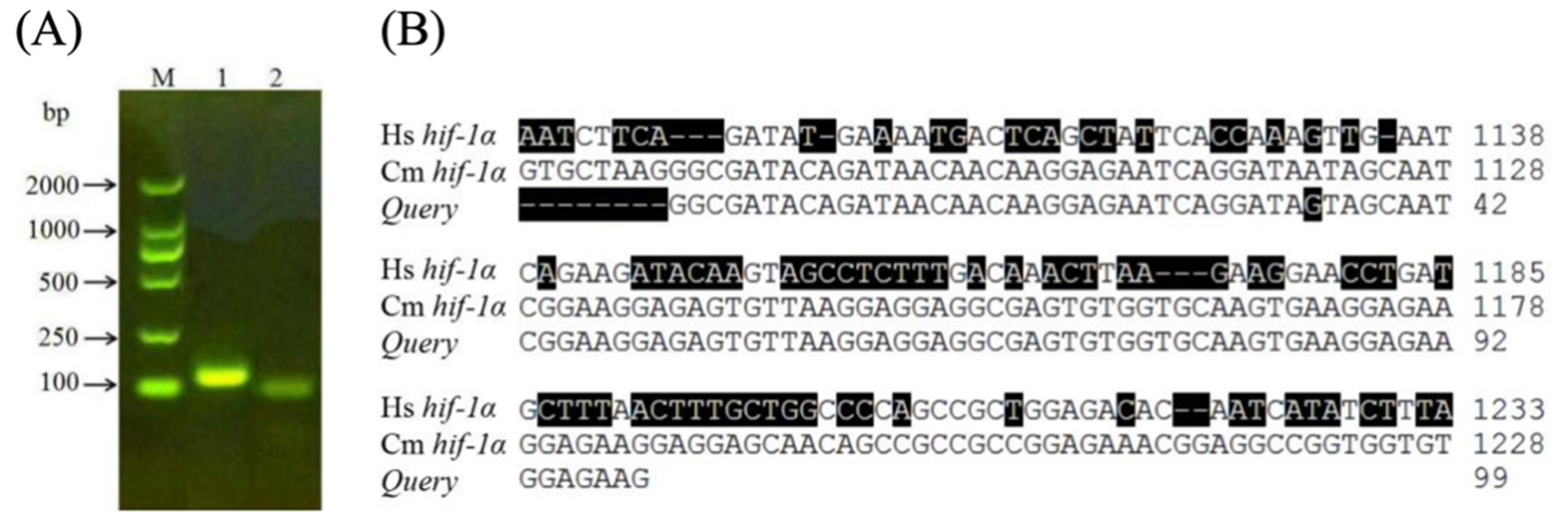 Pathogens 10 00704 g002 Pathogens 10 00704 g002