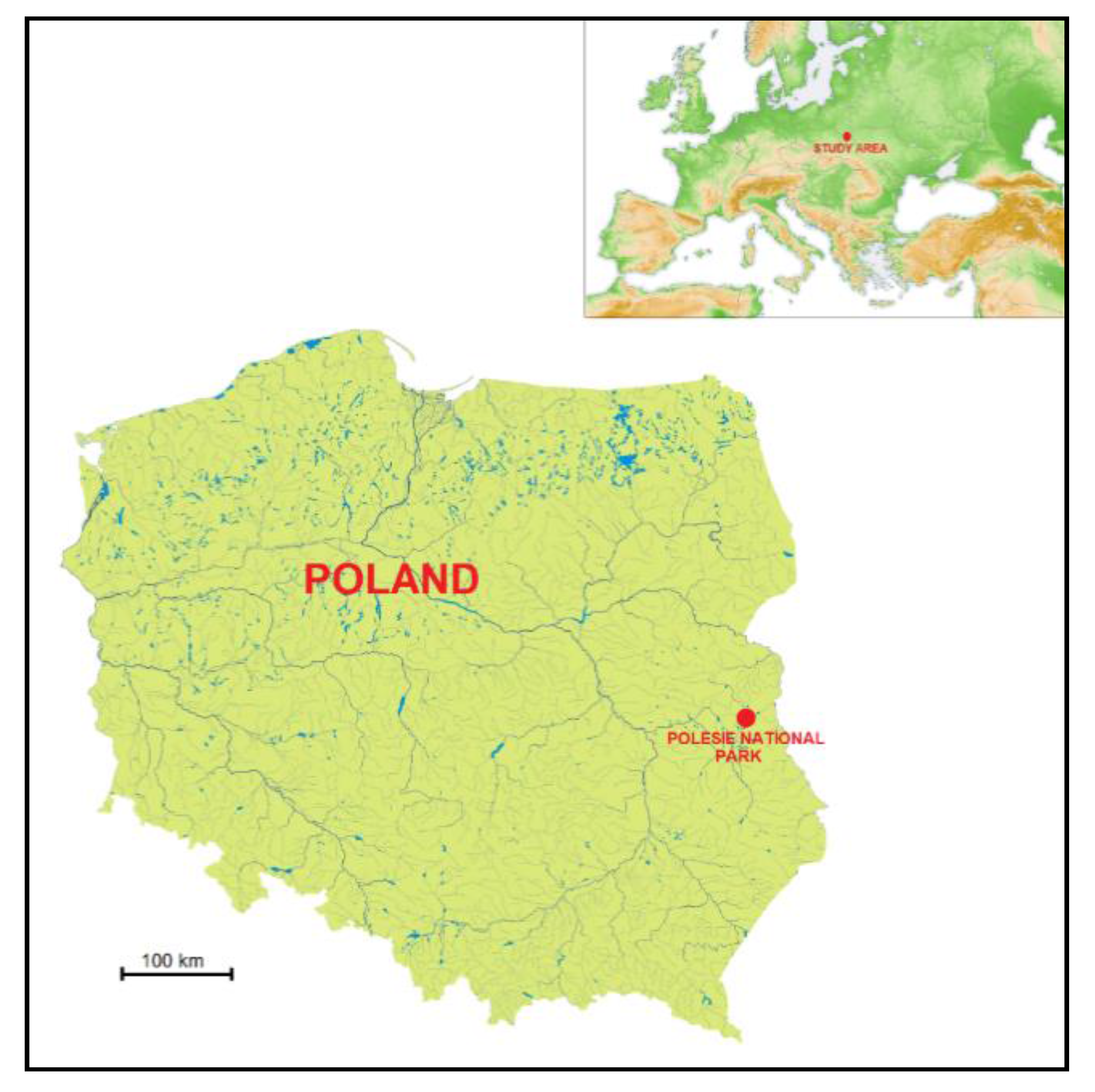 Pathogens 10 00706 g007