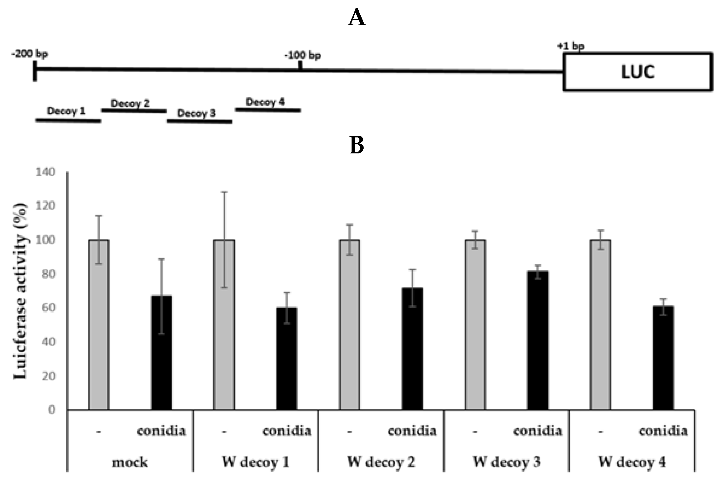 Pathogens 10 00709 g002 Pathogens 10 00709 g002