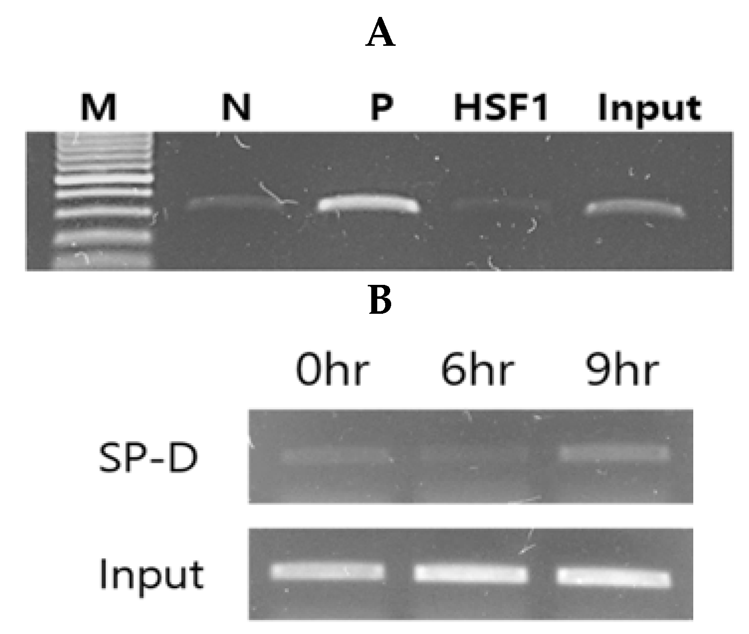 Pathogens 10 00709 g005 Pathogens 10 00709 g005