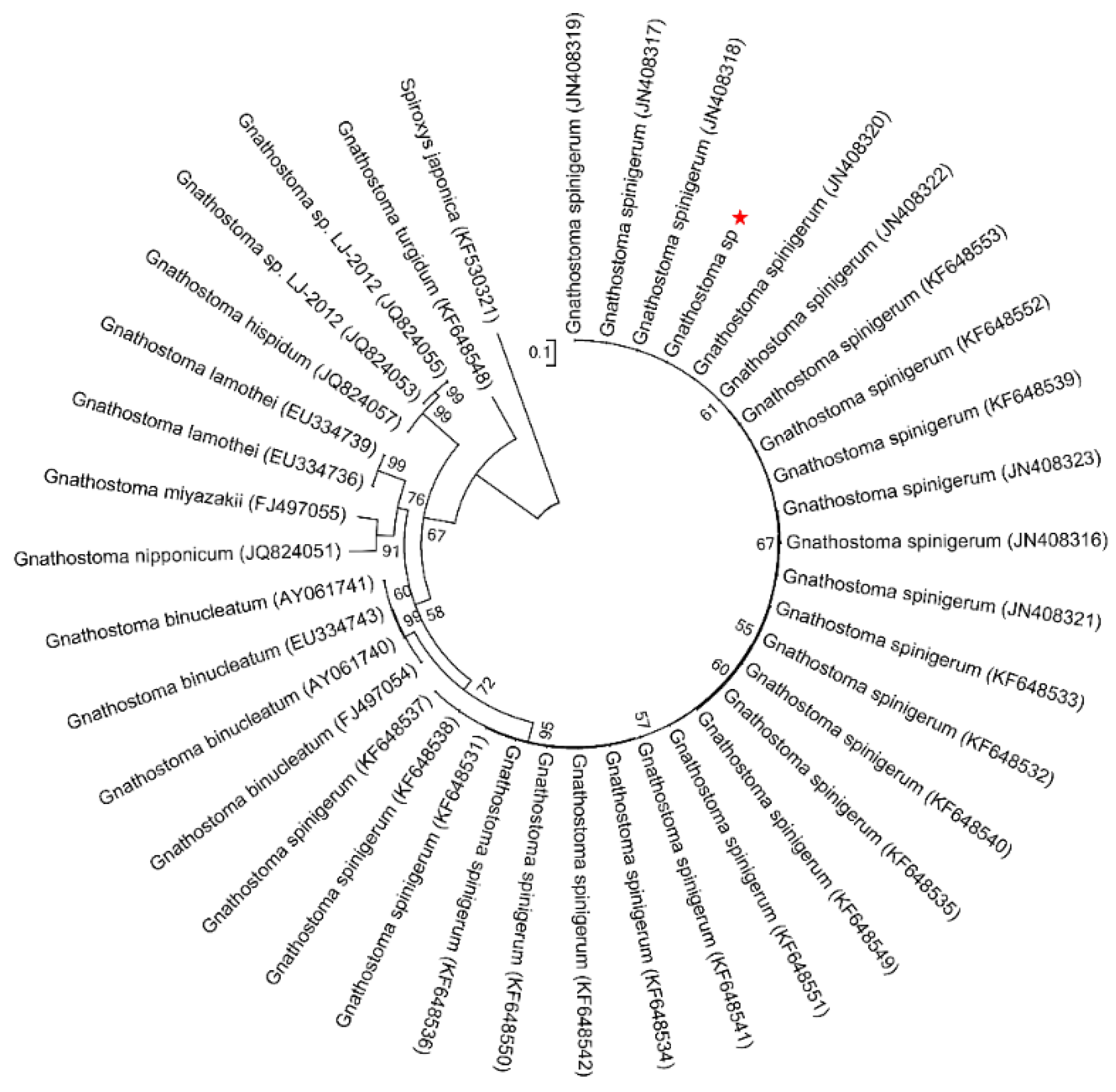 Pathogens 10 00711 g002