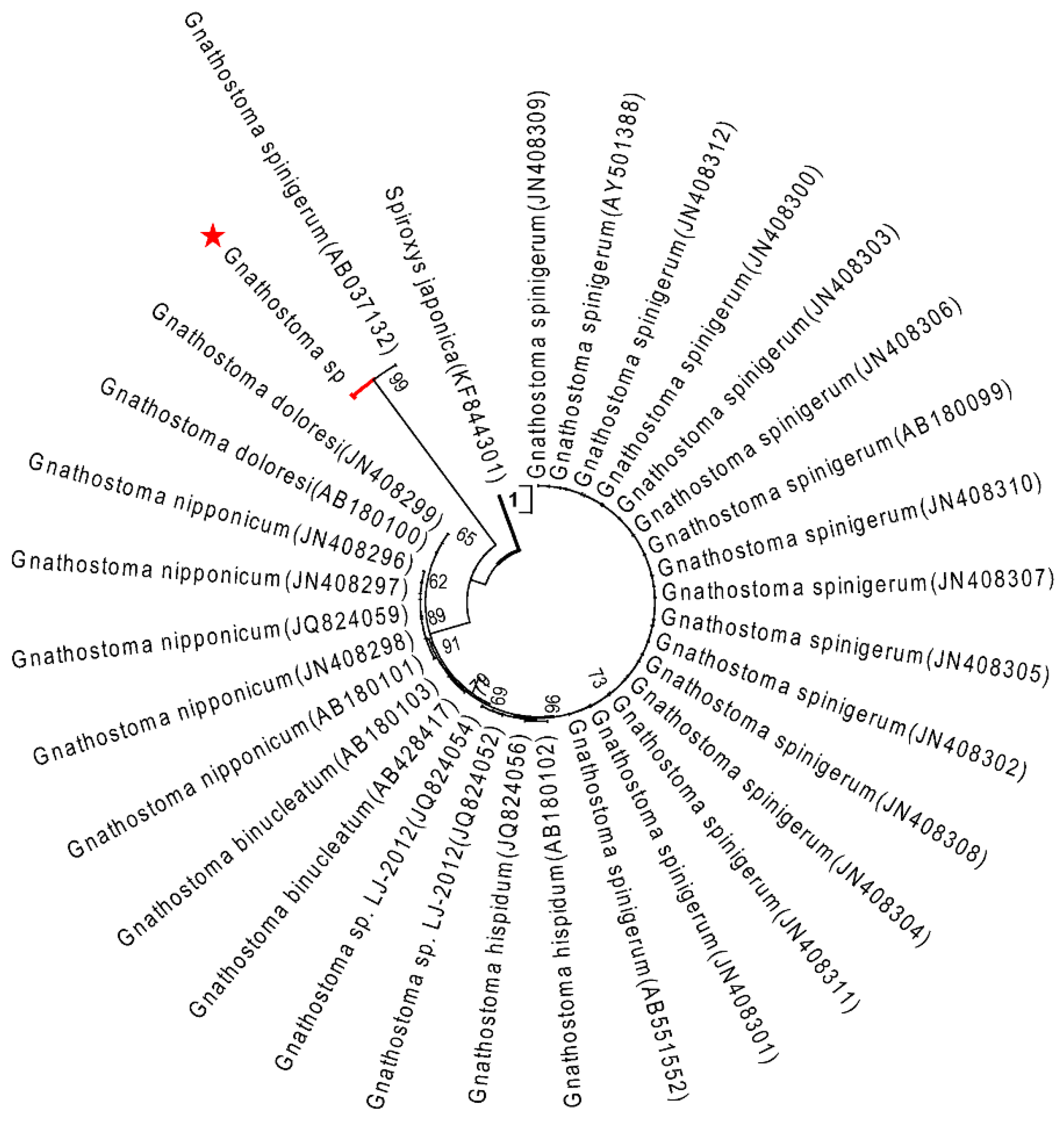 Pathogens 10 00711 g003