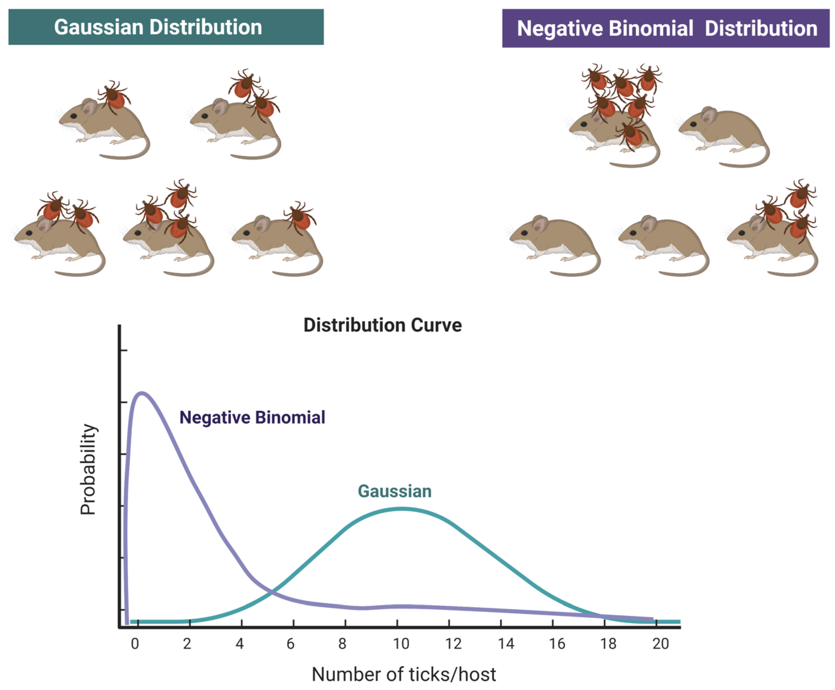 Pathogens 10 00712 g002