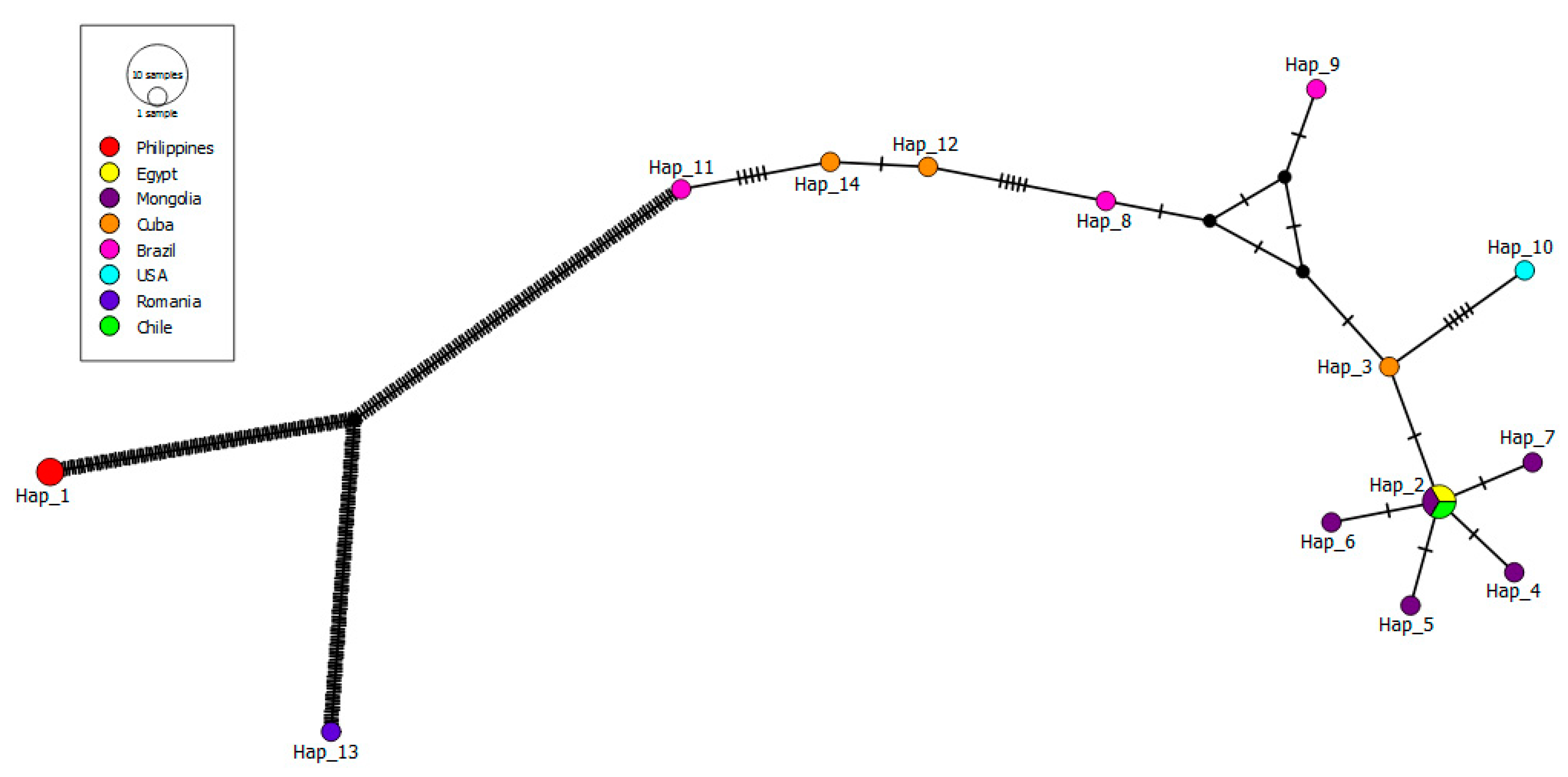 Pathogens 10 00714 g004