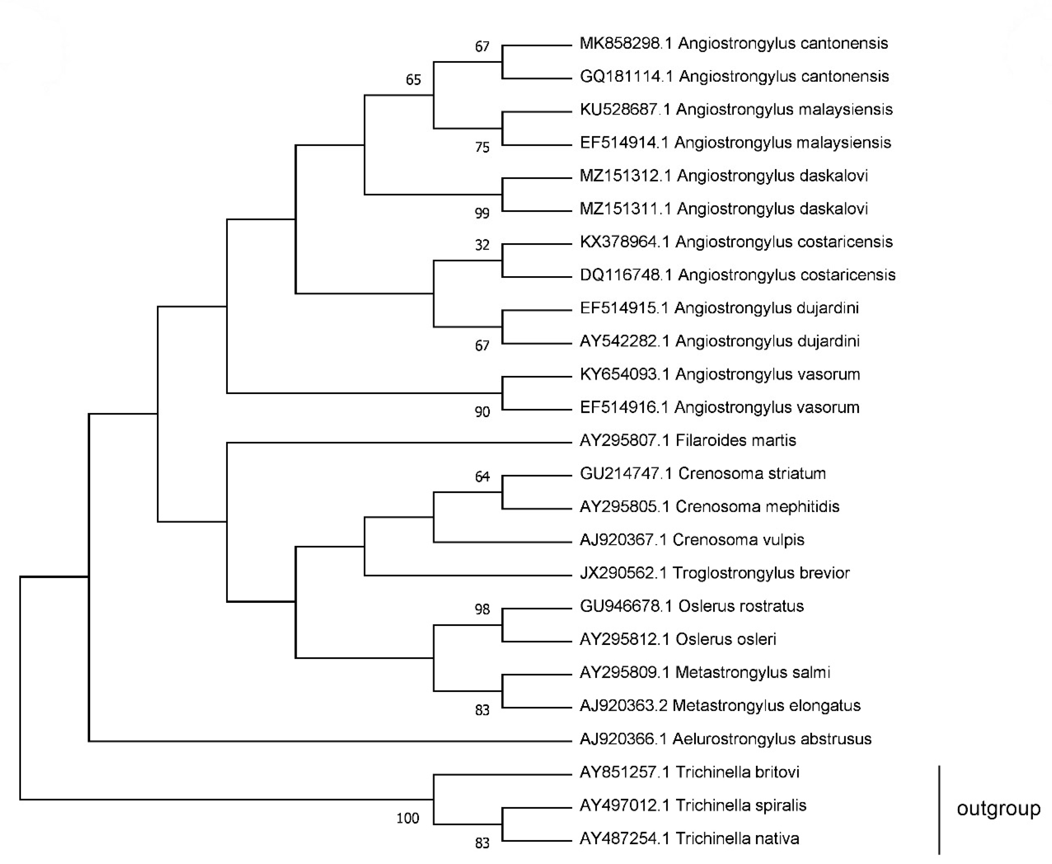 Pathogens 10 00715 g002 Pathogens 10 00715 g002