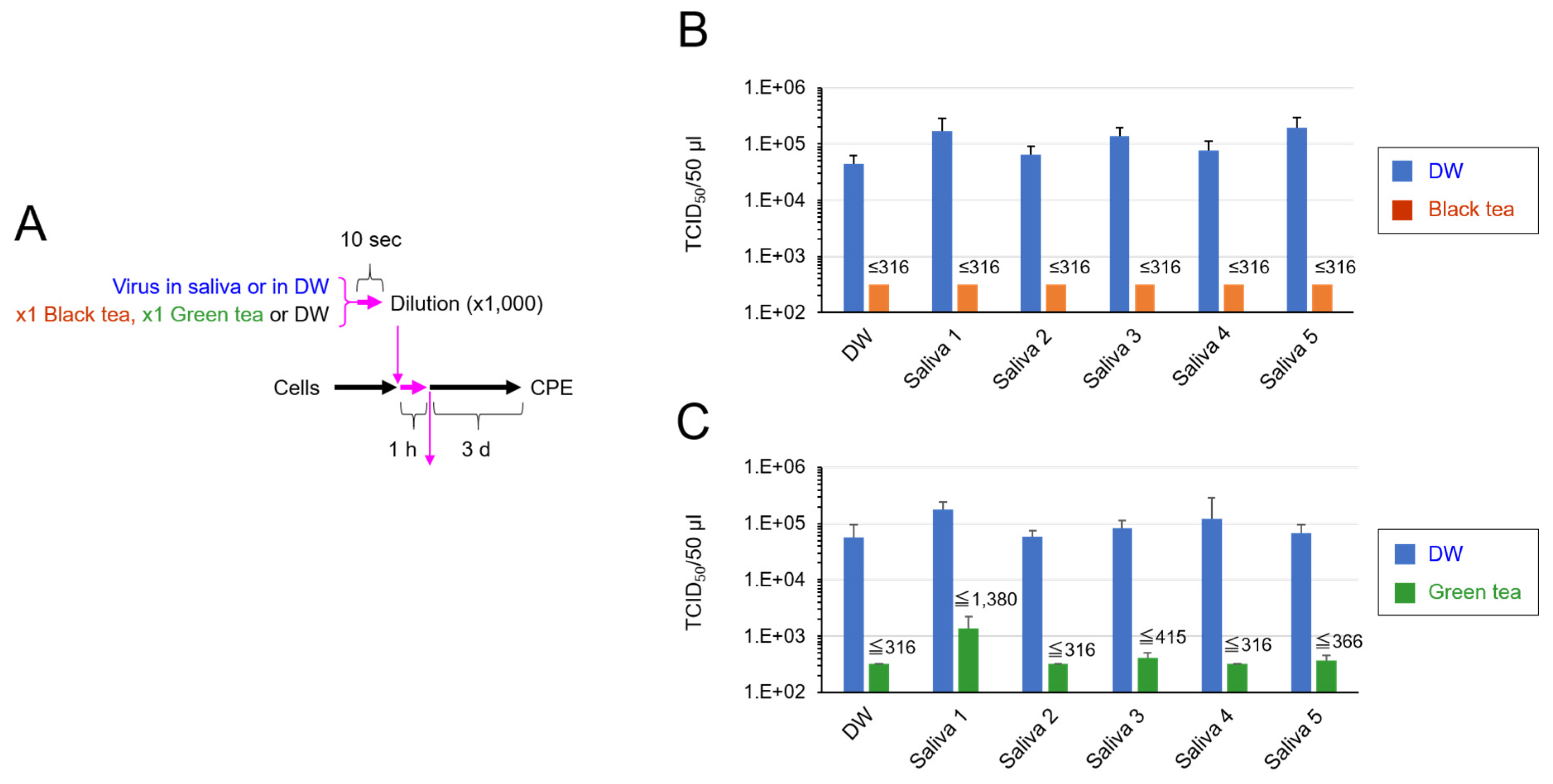 Pathogens 10 00721 g001