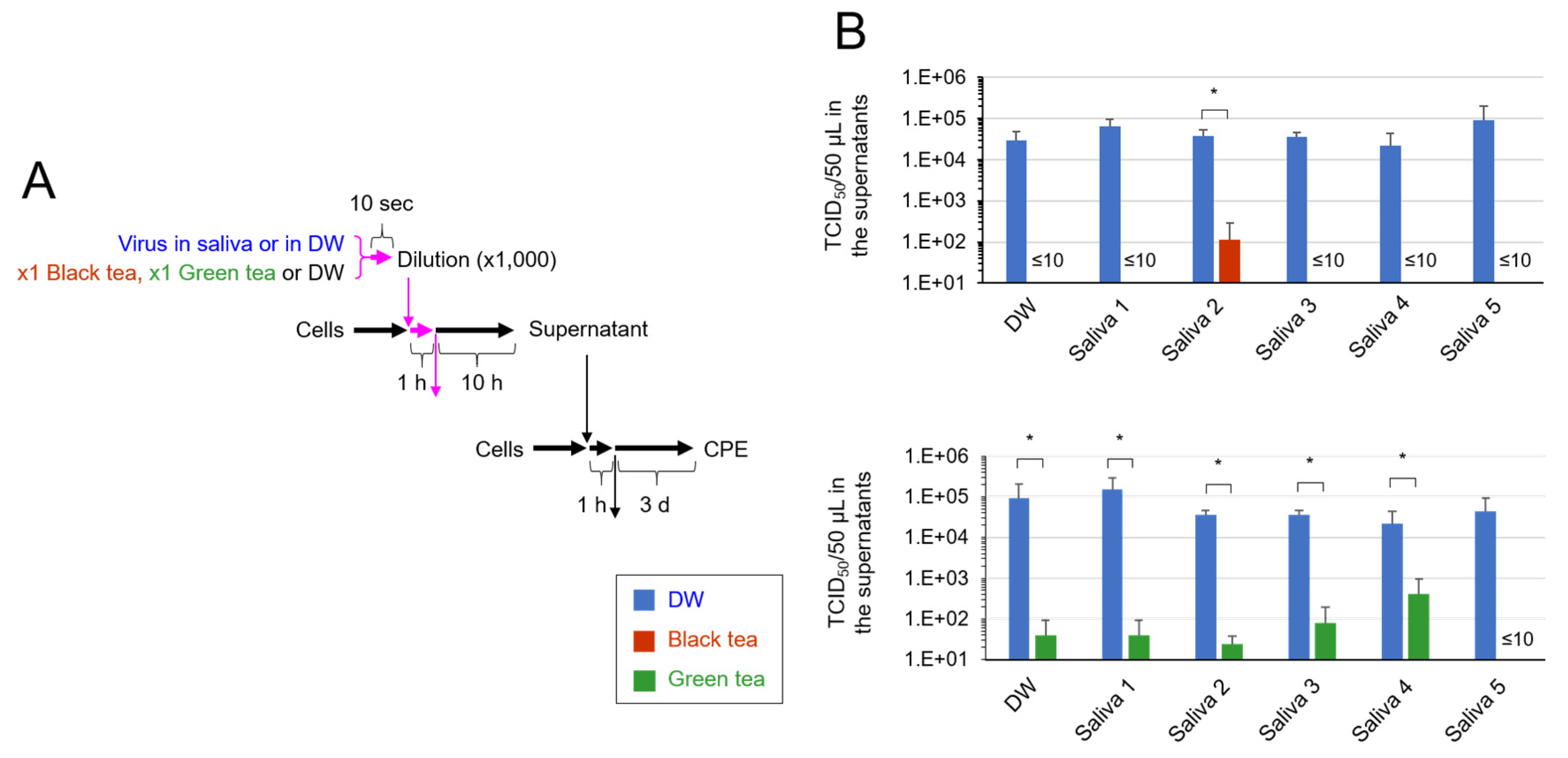 Pathogens 10 00721 g002