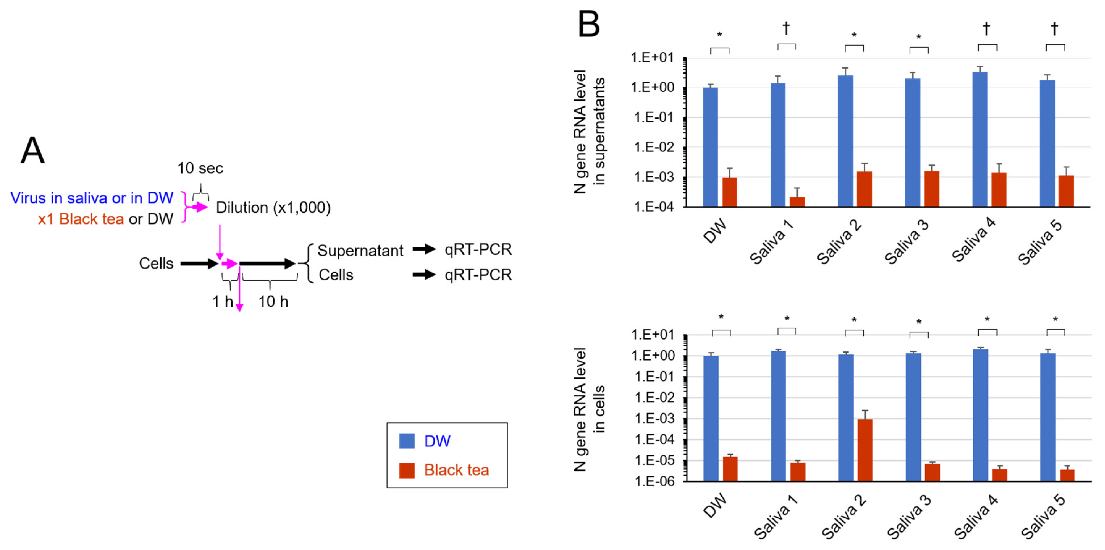 Pathogens 10 00721 g003