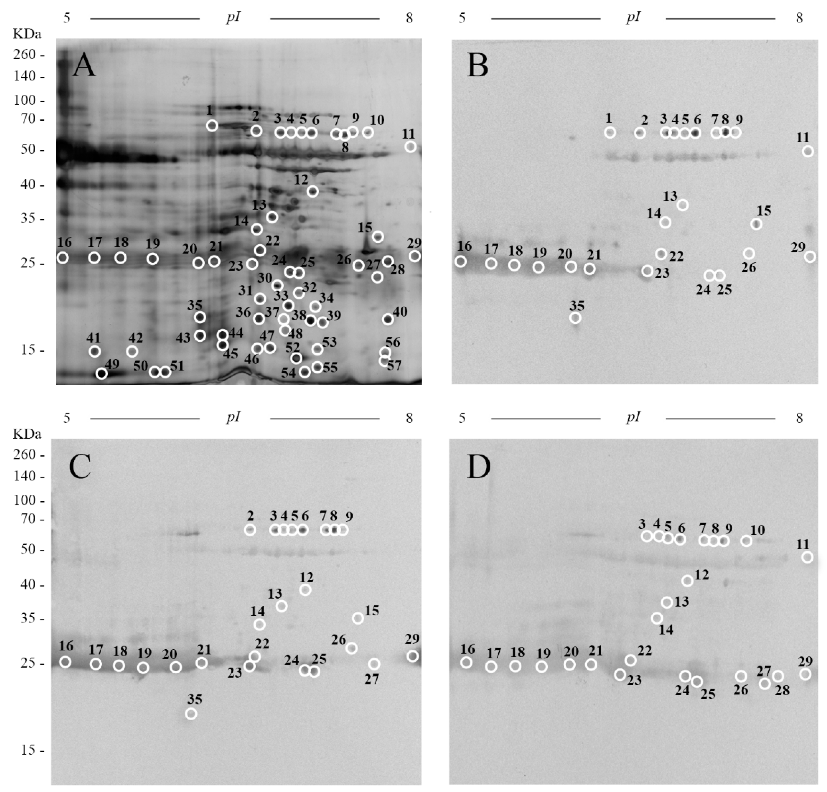 Pathogens 10 00725 g001