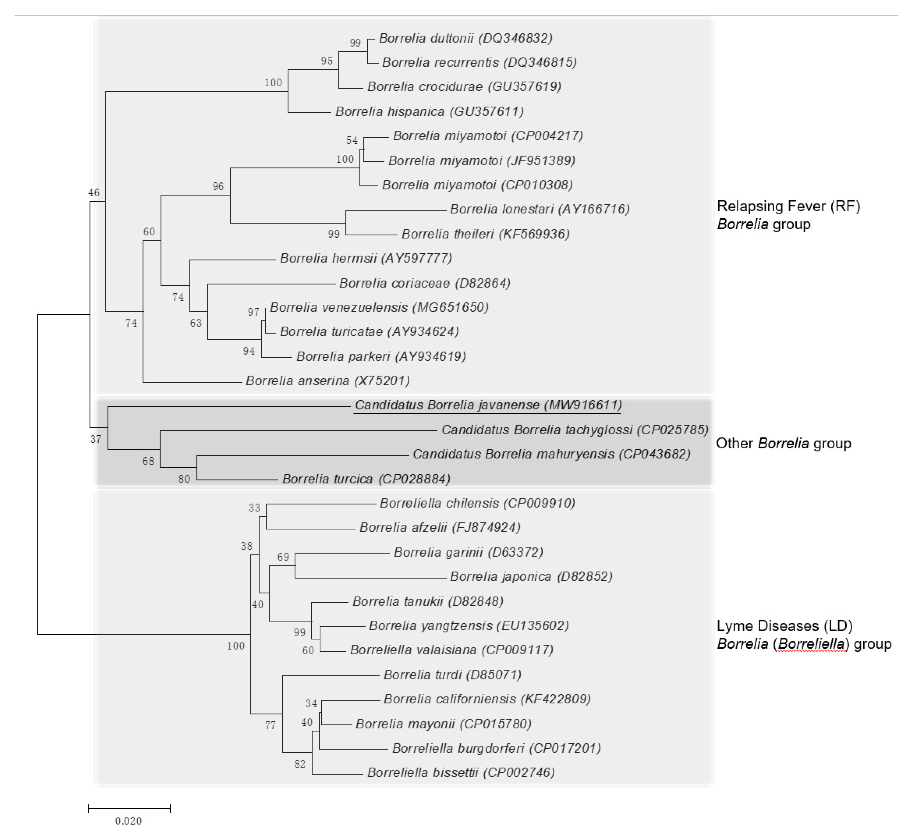 Pathogens 10 00728 g003