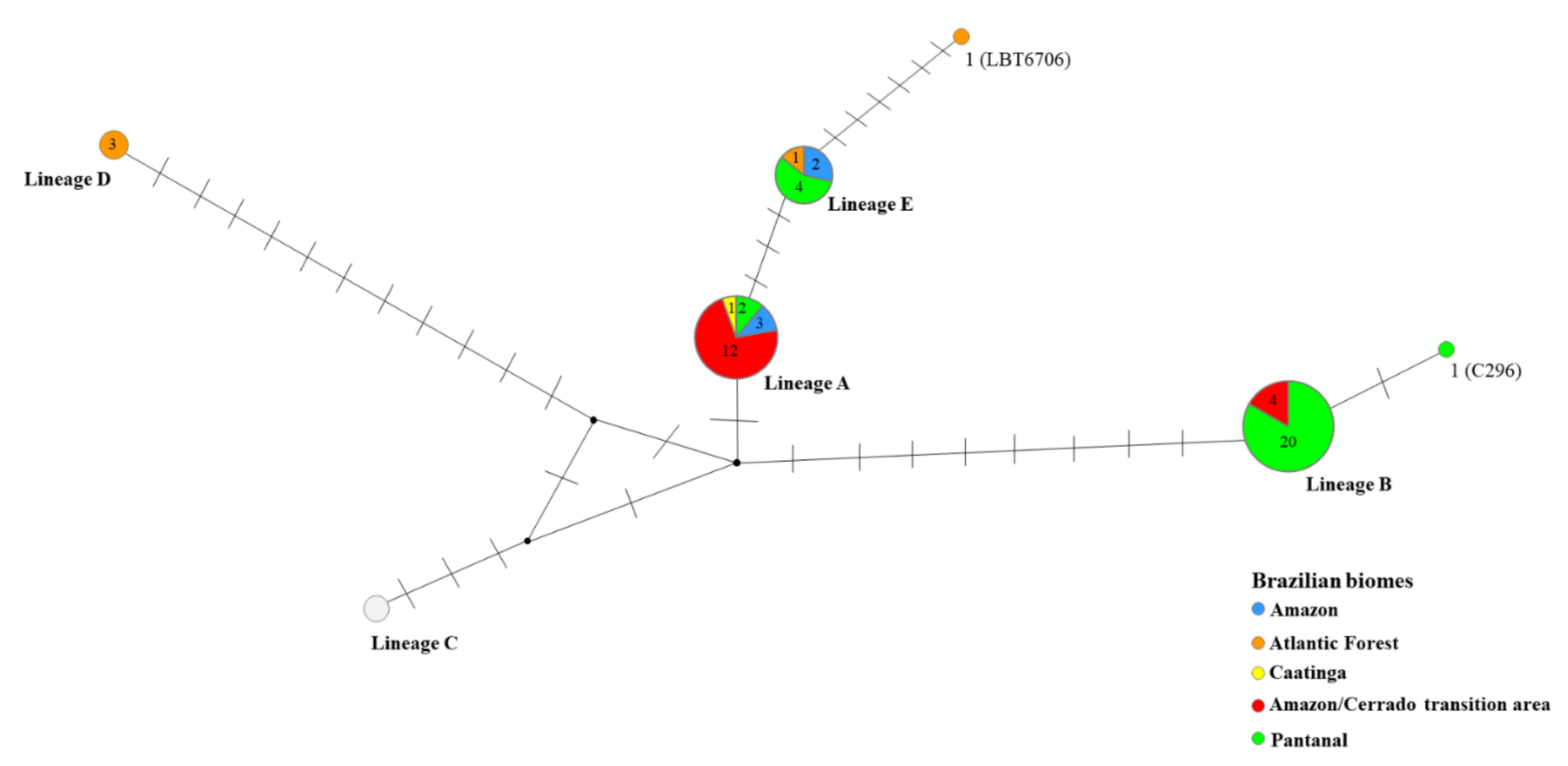 Pathogens 10 00736 g002 Pathogens 10 00736 g002
