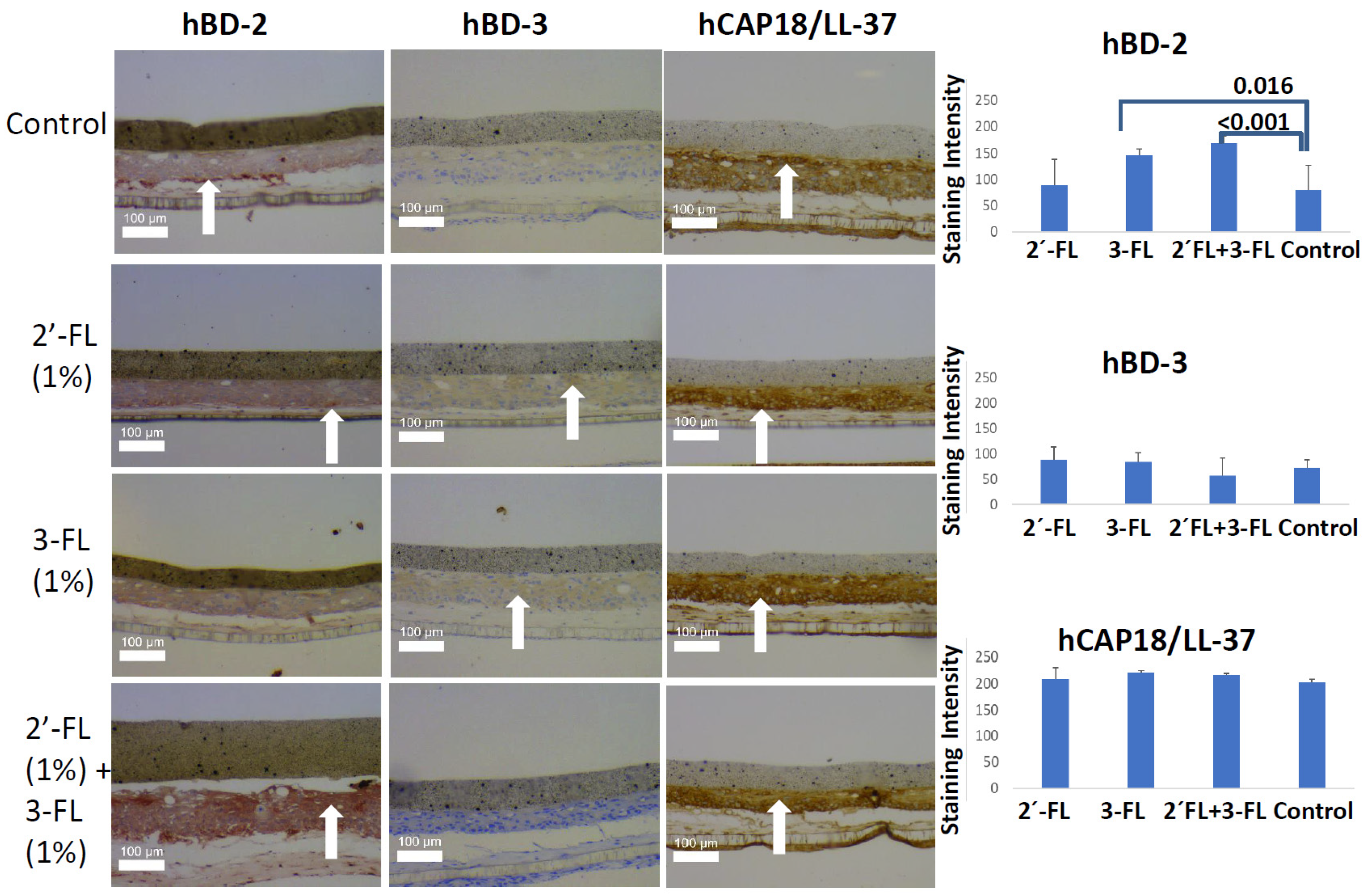 Pathogens 10 00739 g001