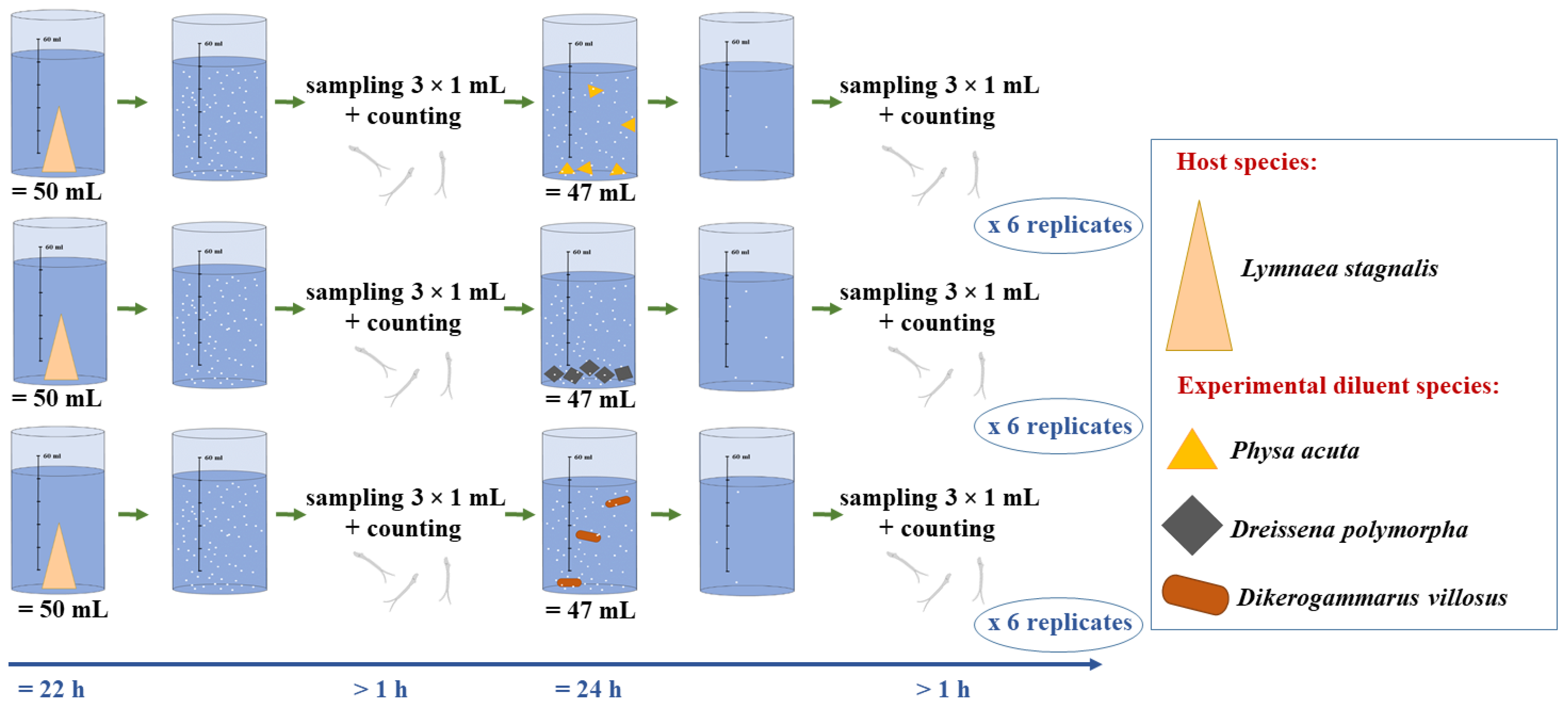 Pathogens 10 00740 g001 Pathogens 10 00740 g001