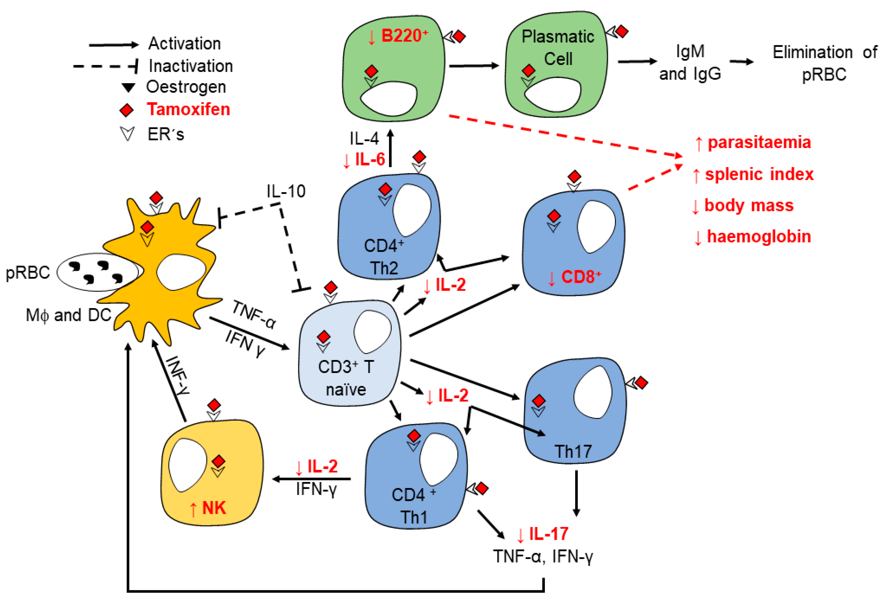 Pathogens 10 00743 g005 Pathogens 10 00743 g005