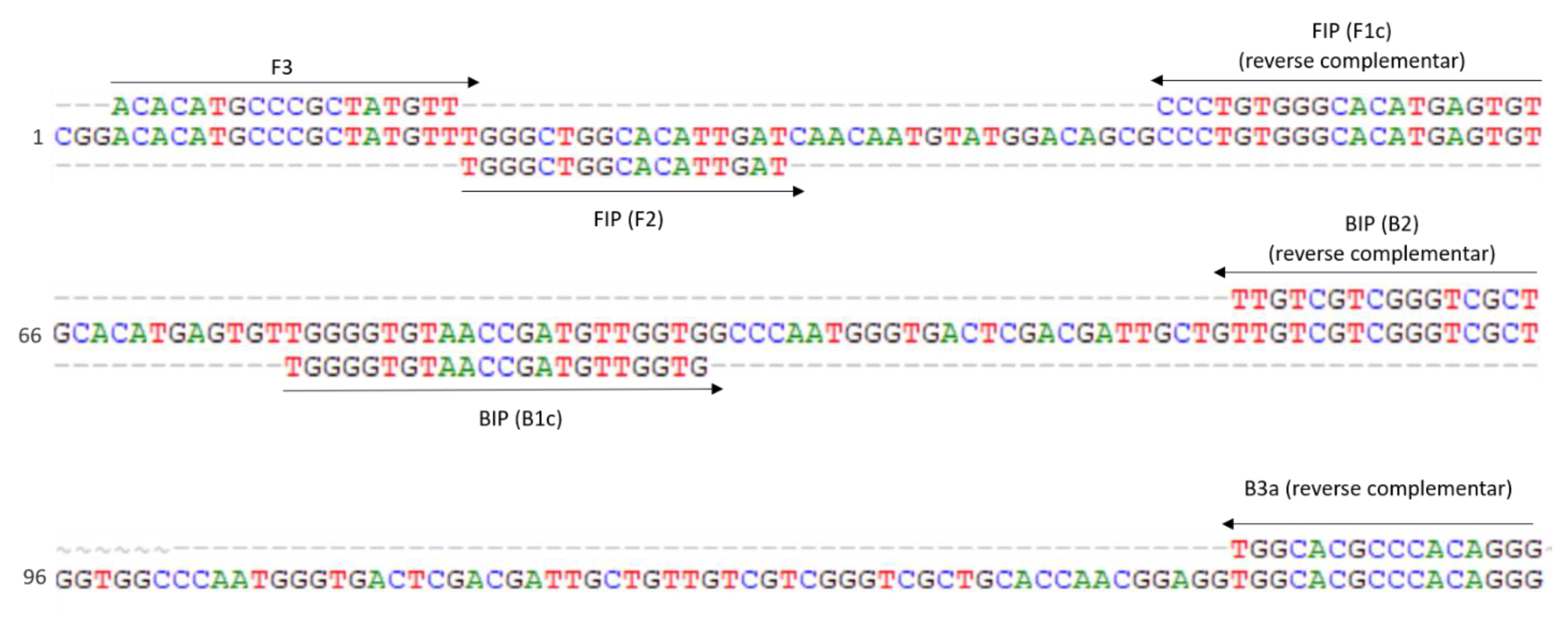 Pathogens 10 00744 g001