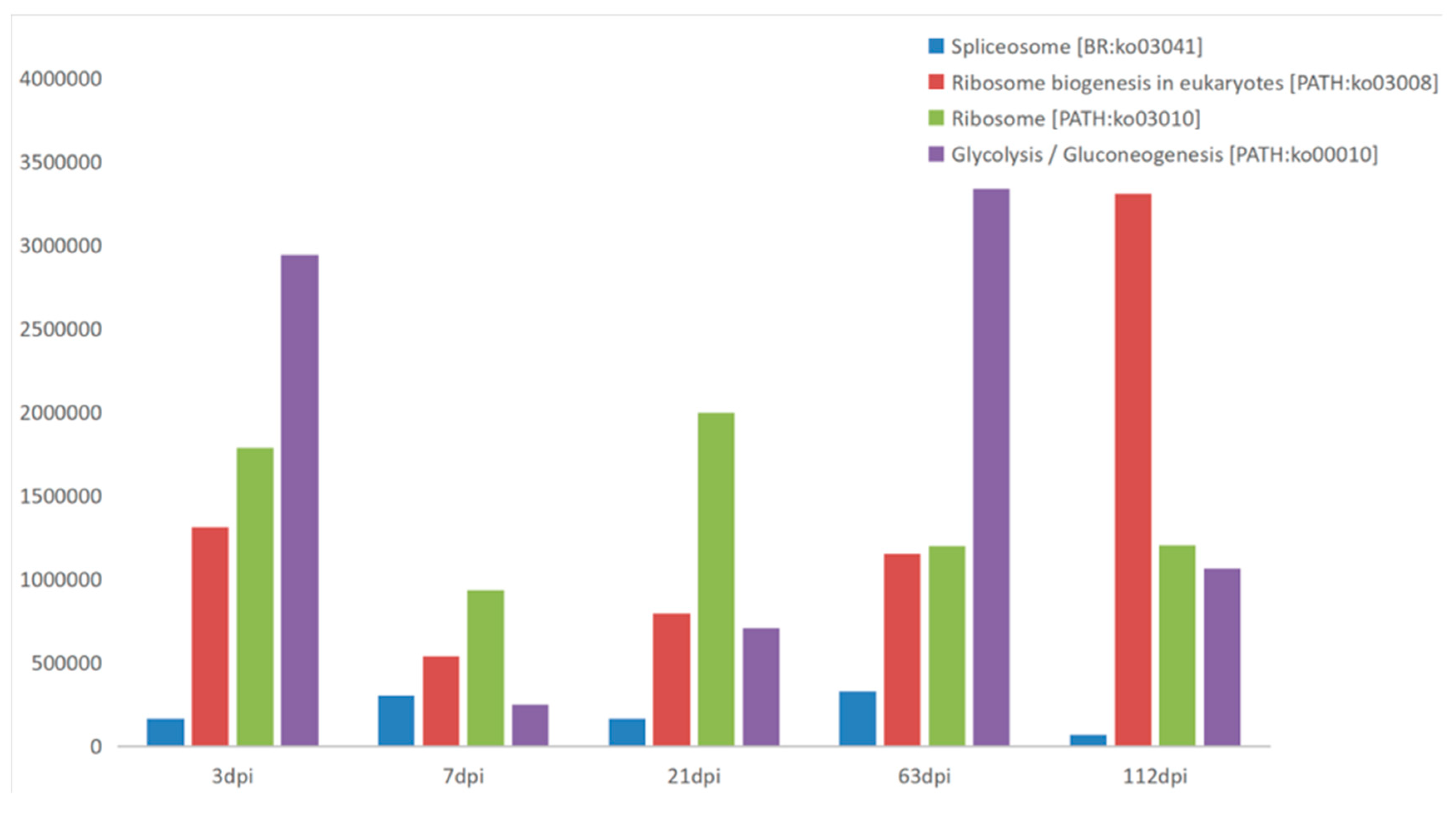 Pathogens 10 00749 g004 Pathogens 10 00749 g004