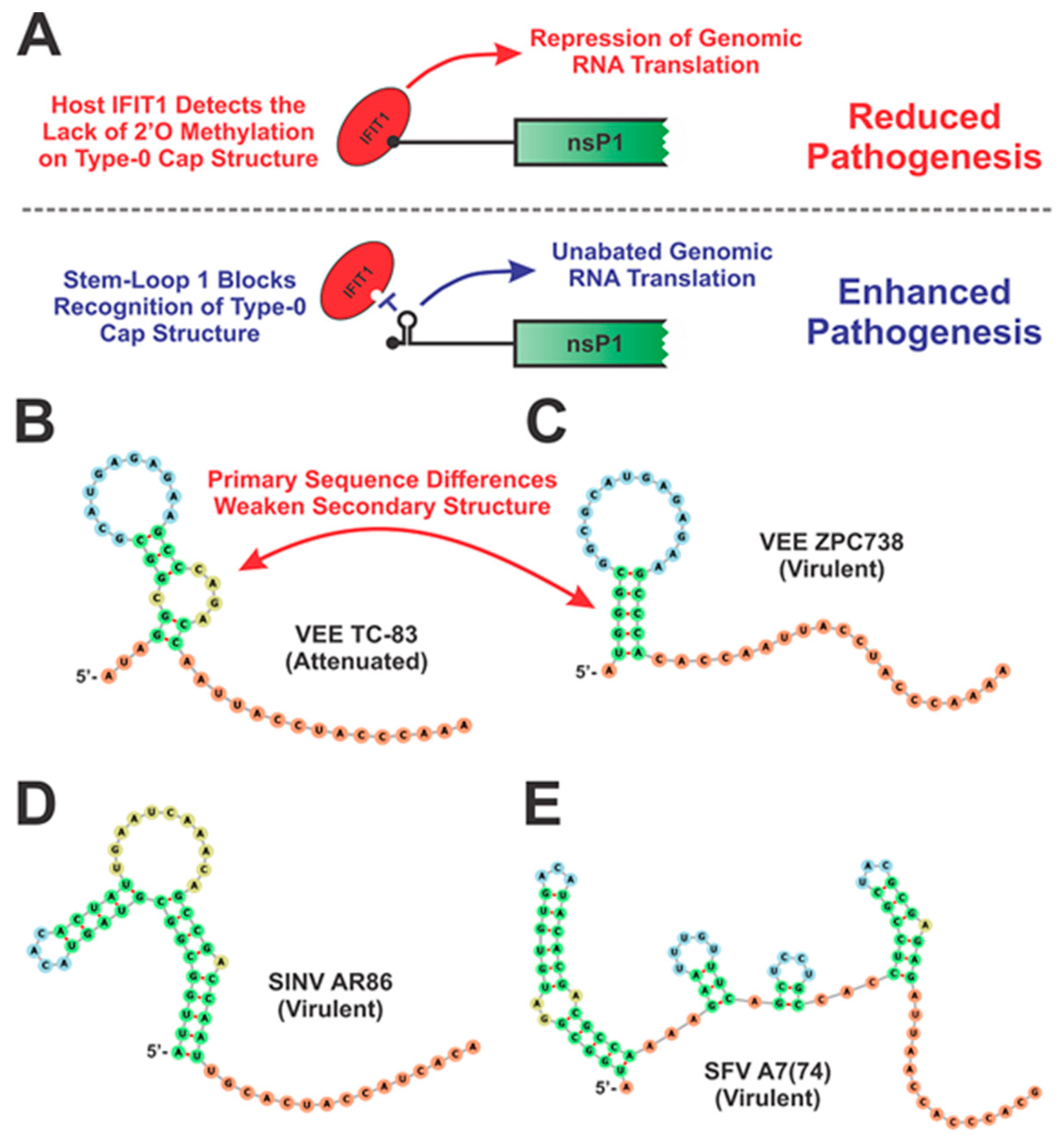 Pathogens 10 00771 g003 Pathogens 10 00771 g003