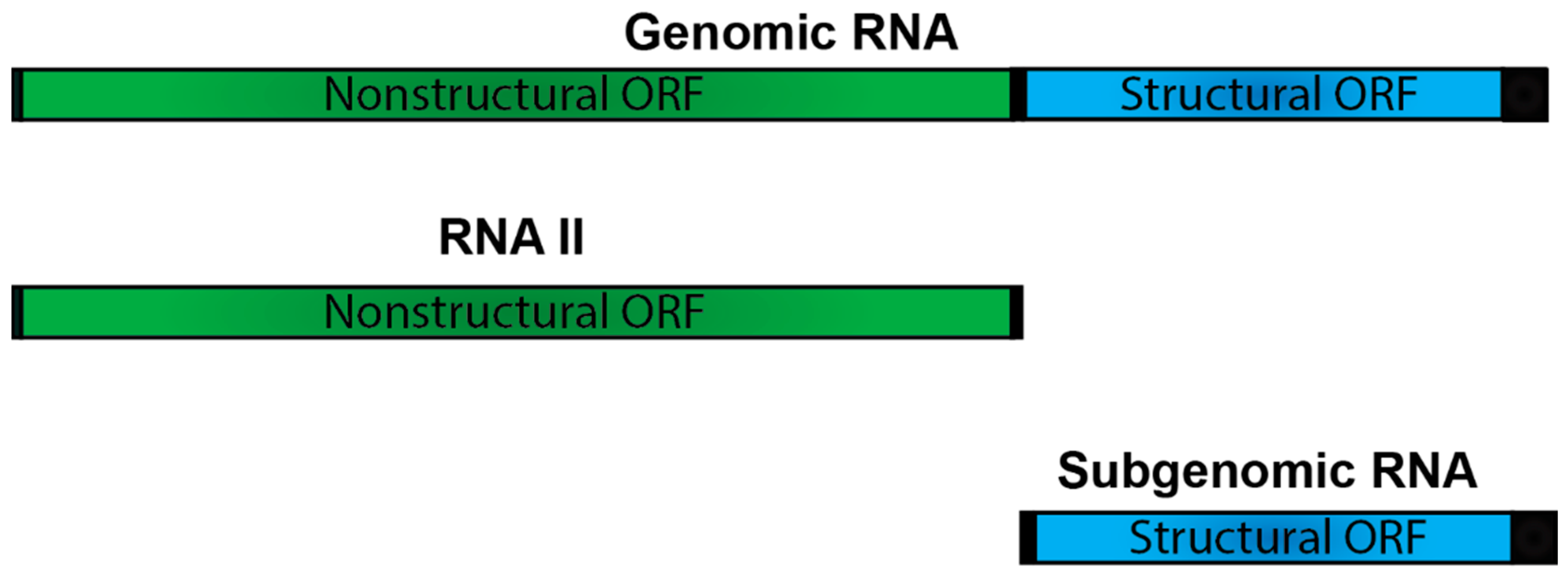 Pathogens 10 00771 g008 Pathogens 10 00771 g008