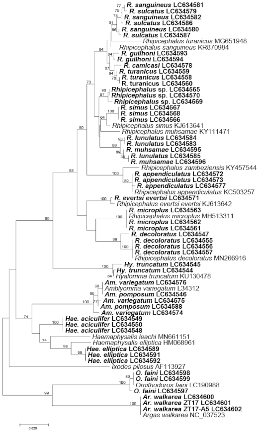 Pathogens 10 00779 g001