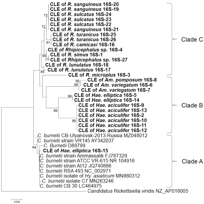 Pathogens 10 00779 g002