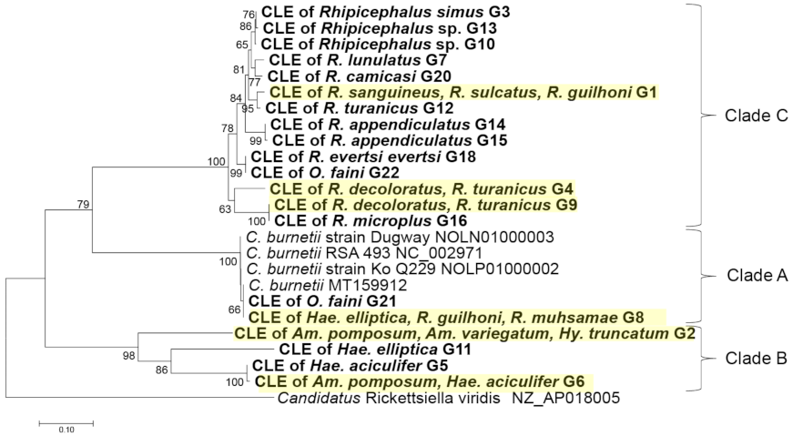 Pathogens 10 00779 g003