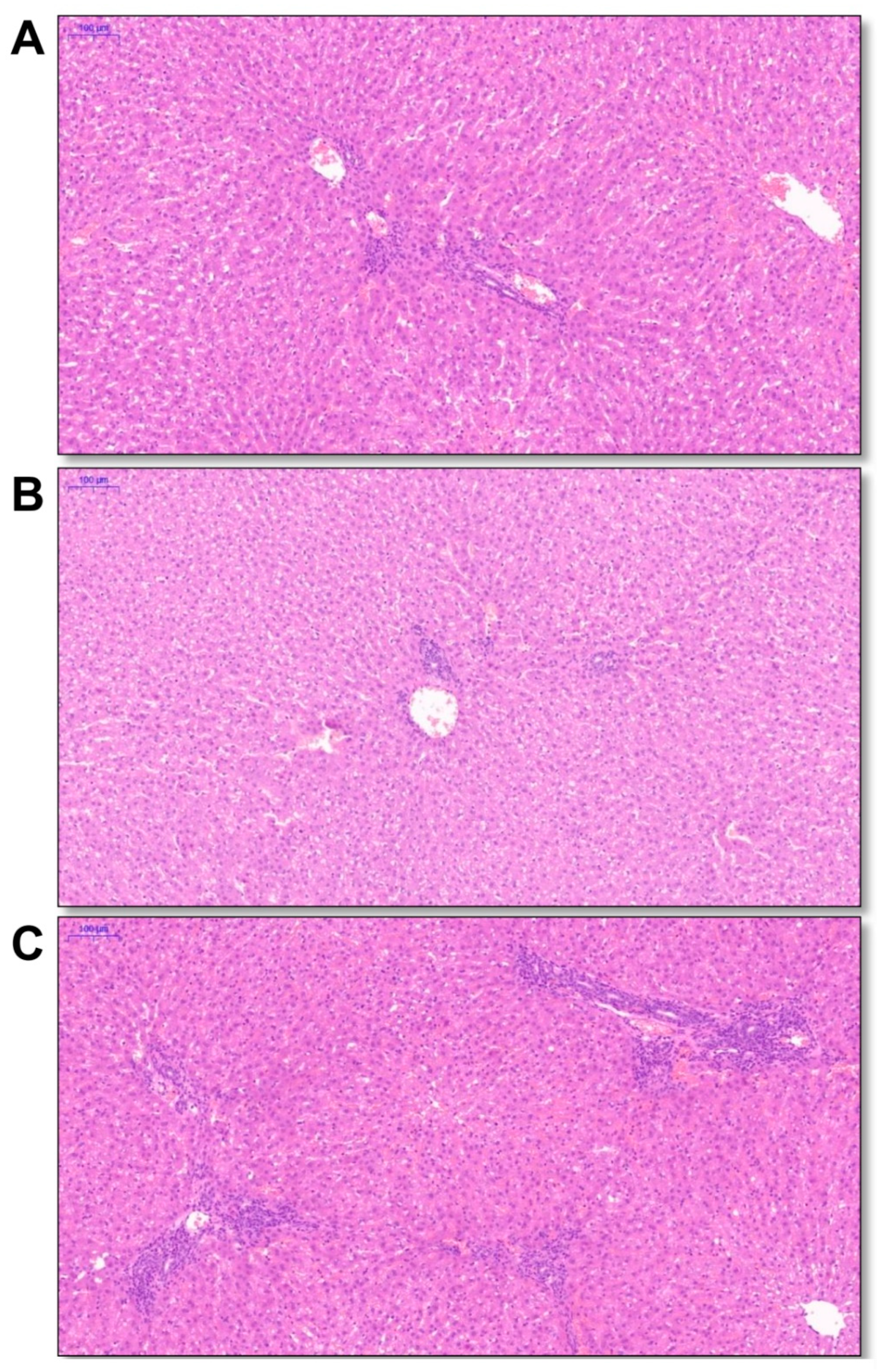 Pathogens 10 00780 g003 550